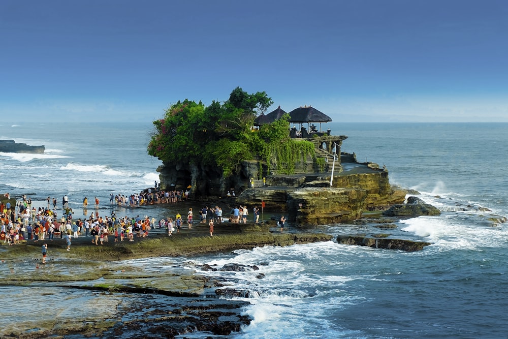 people on beach shore during daytime