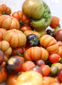 green and orange round fruits