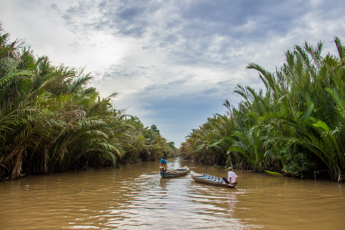 Mekong Delta river waterway with wooden sampans and palm greenery