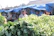 A warm, candid shot of a local farmer smiling proudly in front of a vibrant market stall filled with fresh vegetables.