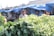 A bustling outdoor market scene with produce displayed in the foreground, including leafy greens and other vegetables. Two men stand behind the stall under blue tarpaulin, one smiling, suggesting a friendly and lively atmosphere.