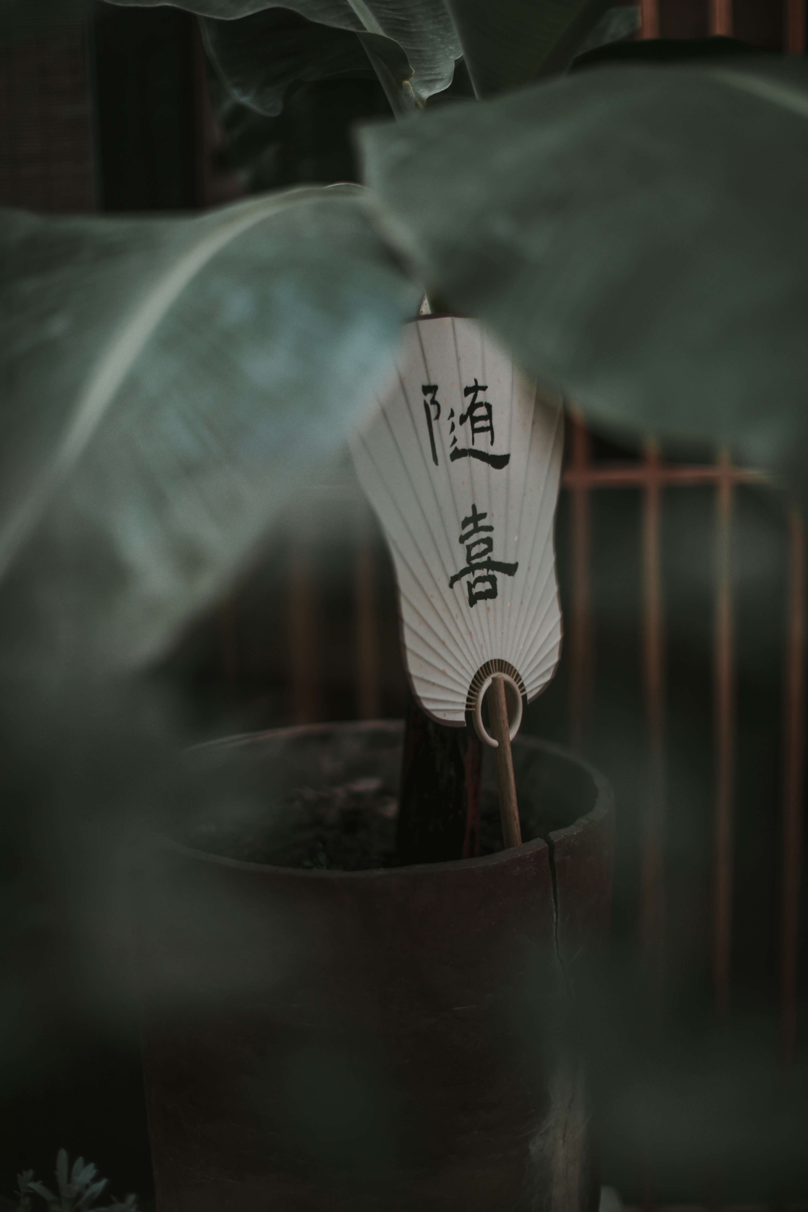 An Image Representing Core SEO Techniques