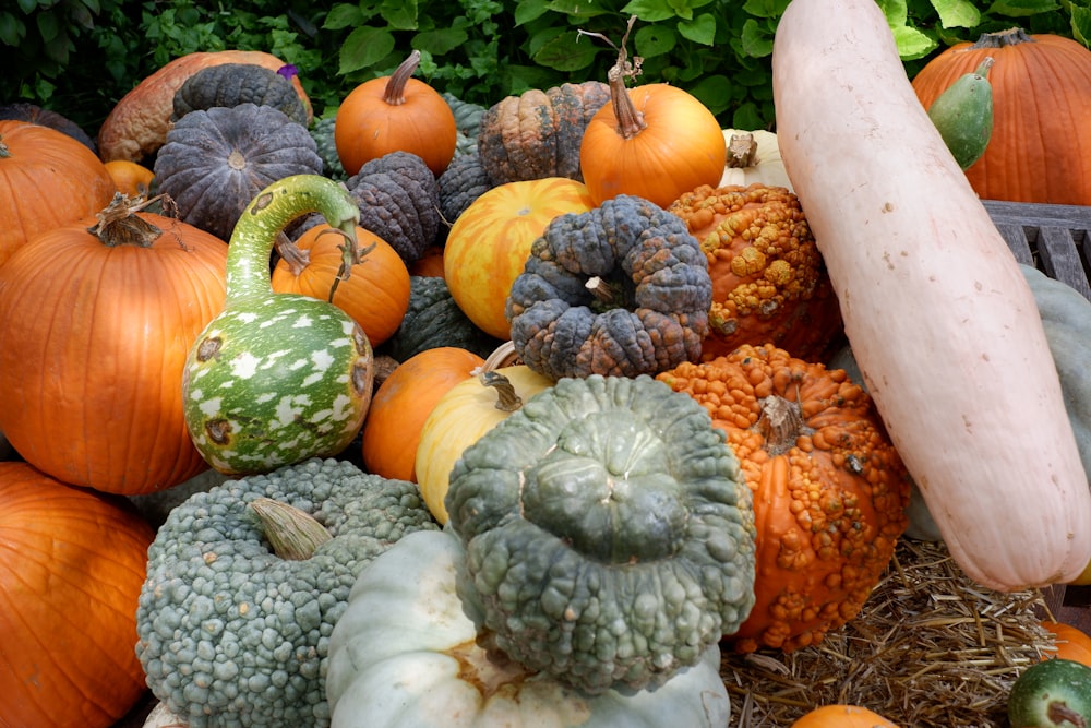 orange and green pumpkins on brown wooden table