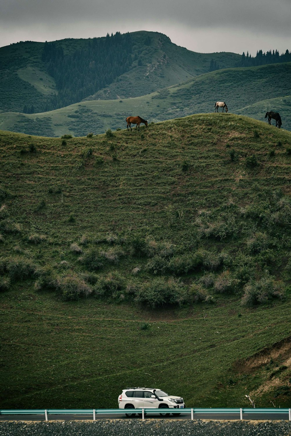 green grass field with people on top of mountain during daytime