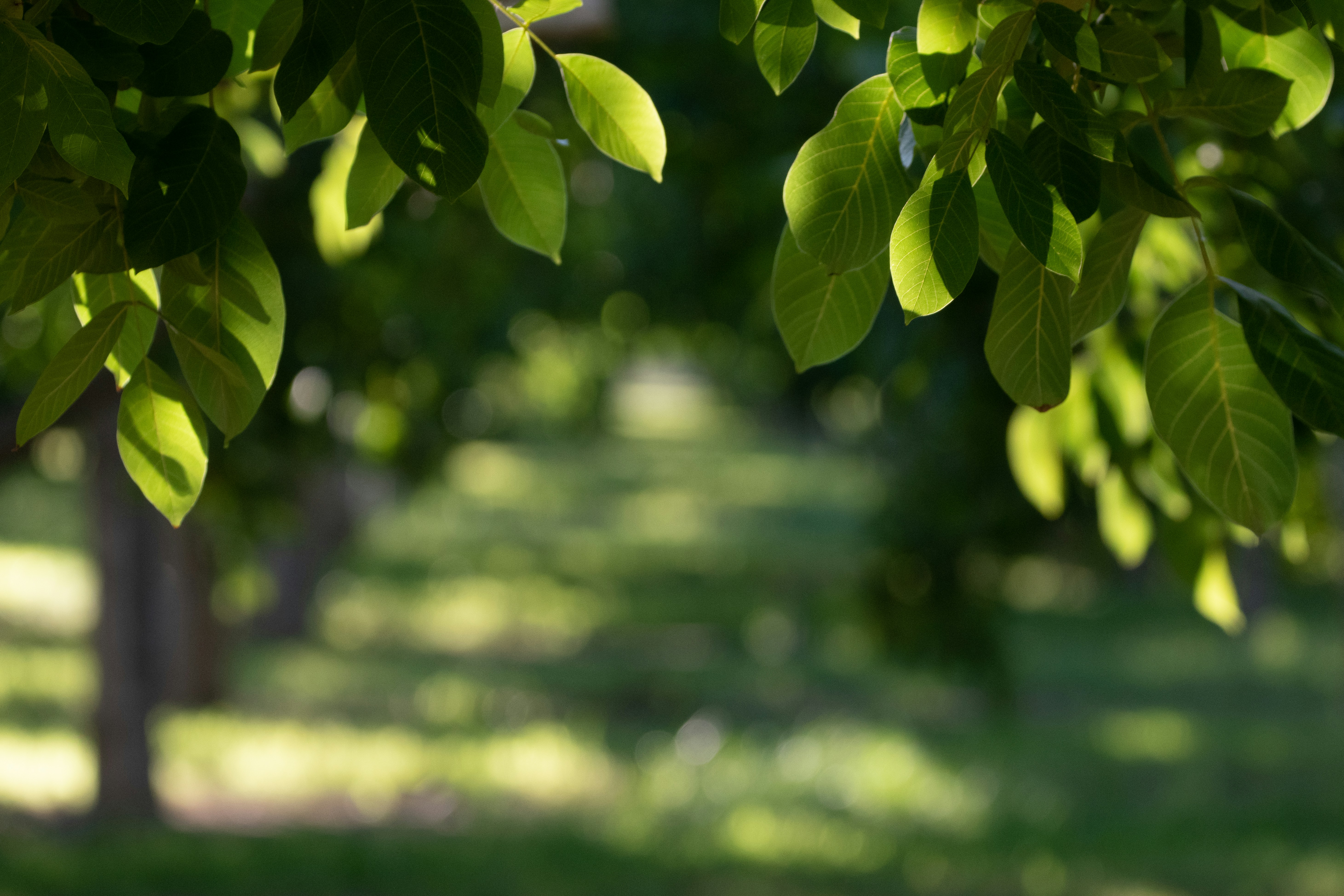 Photo by elisastonephotography