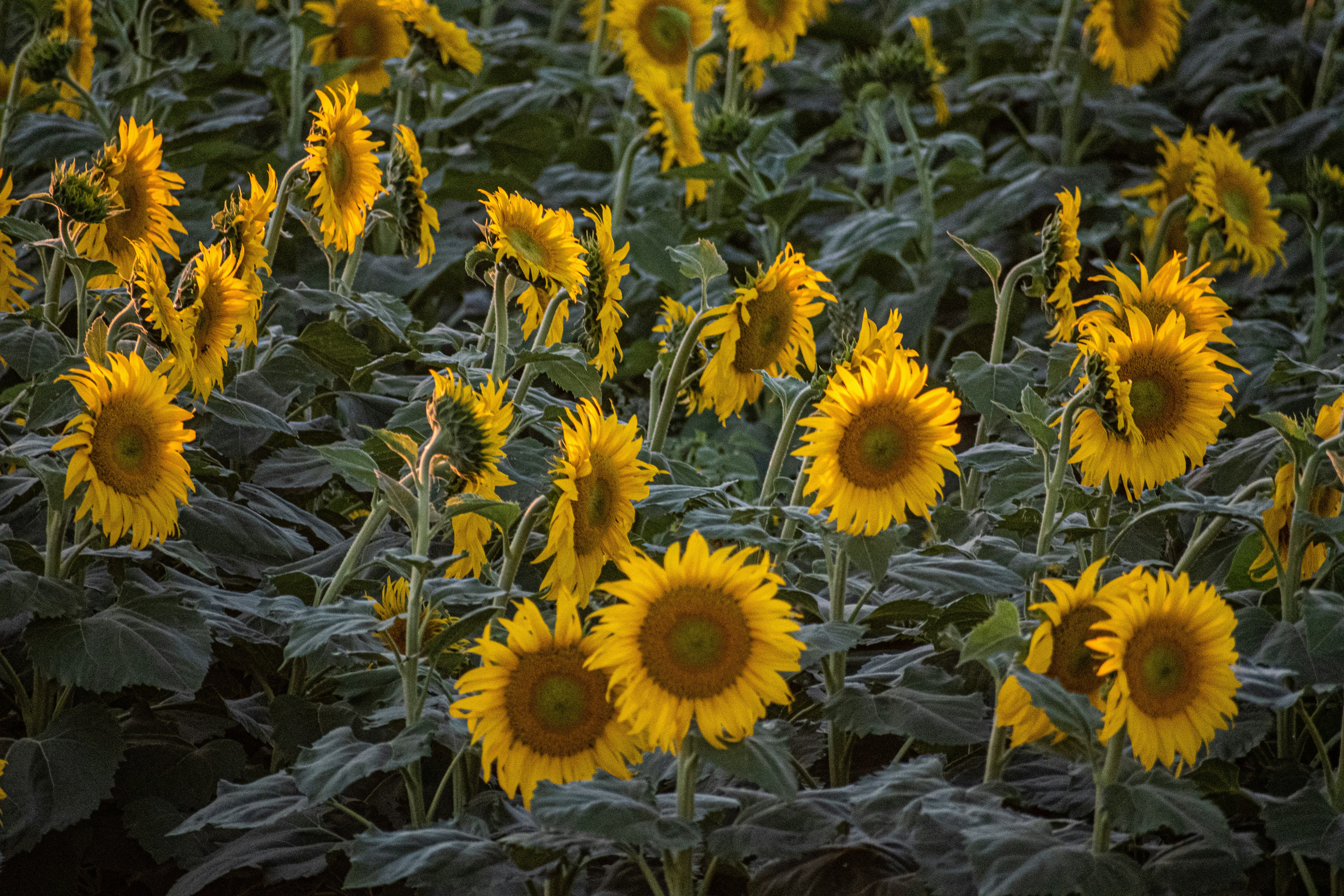 Photo by elisastonephotography