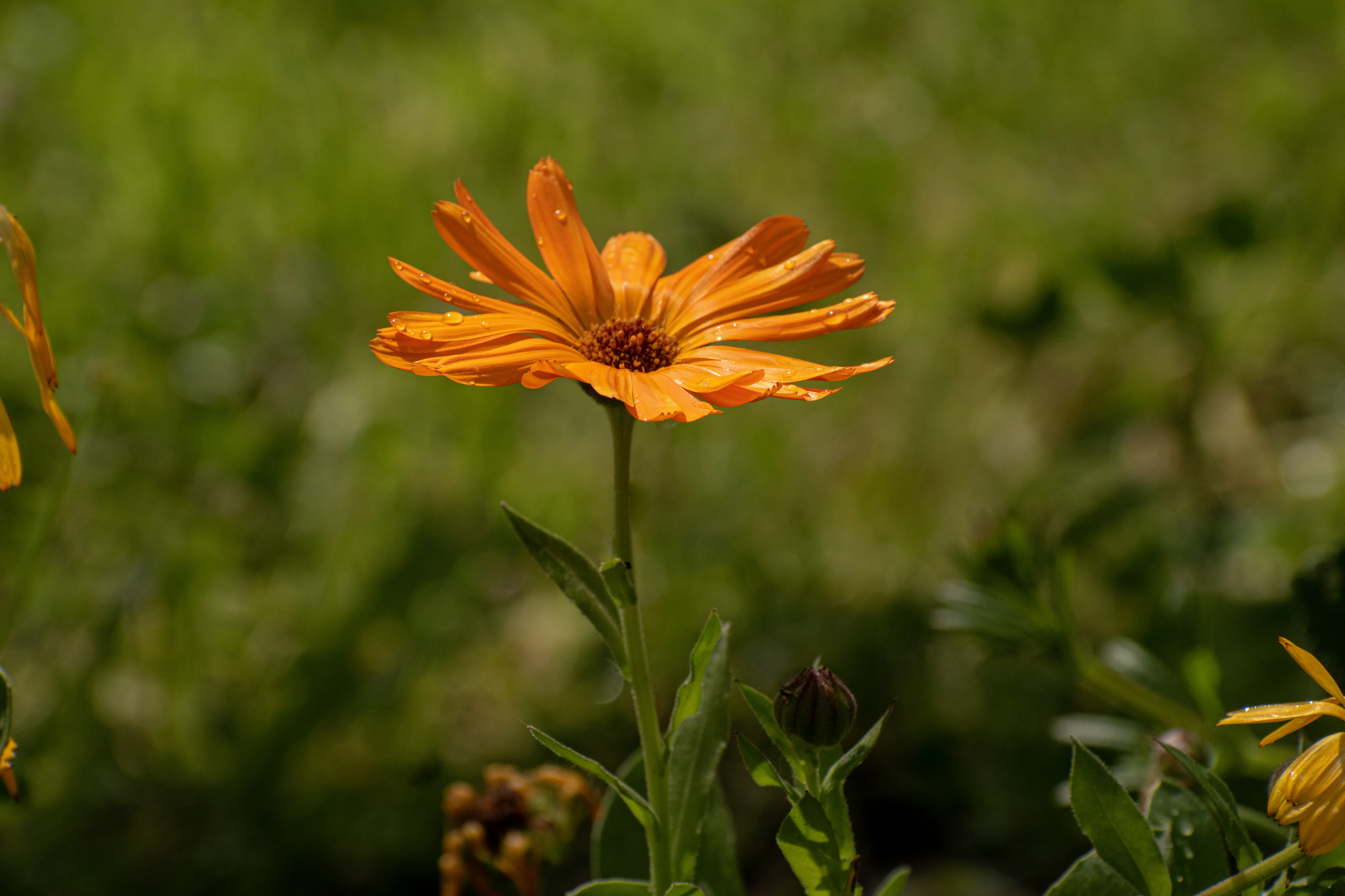 Photo by elisastonephotography