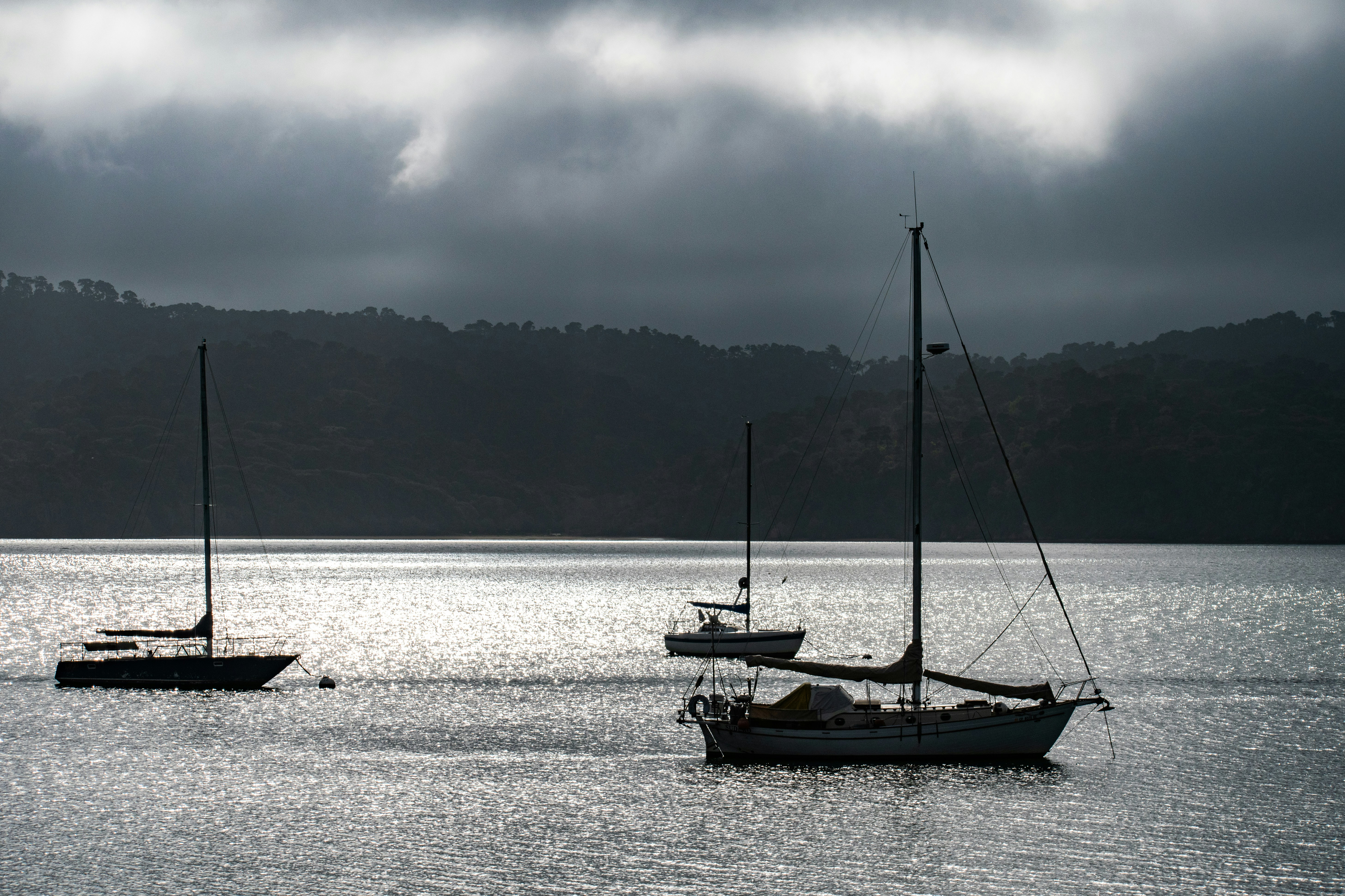 Photo by elisastonephotography