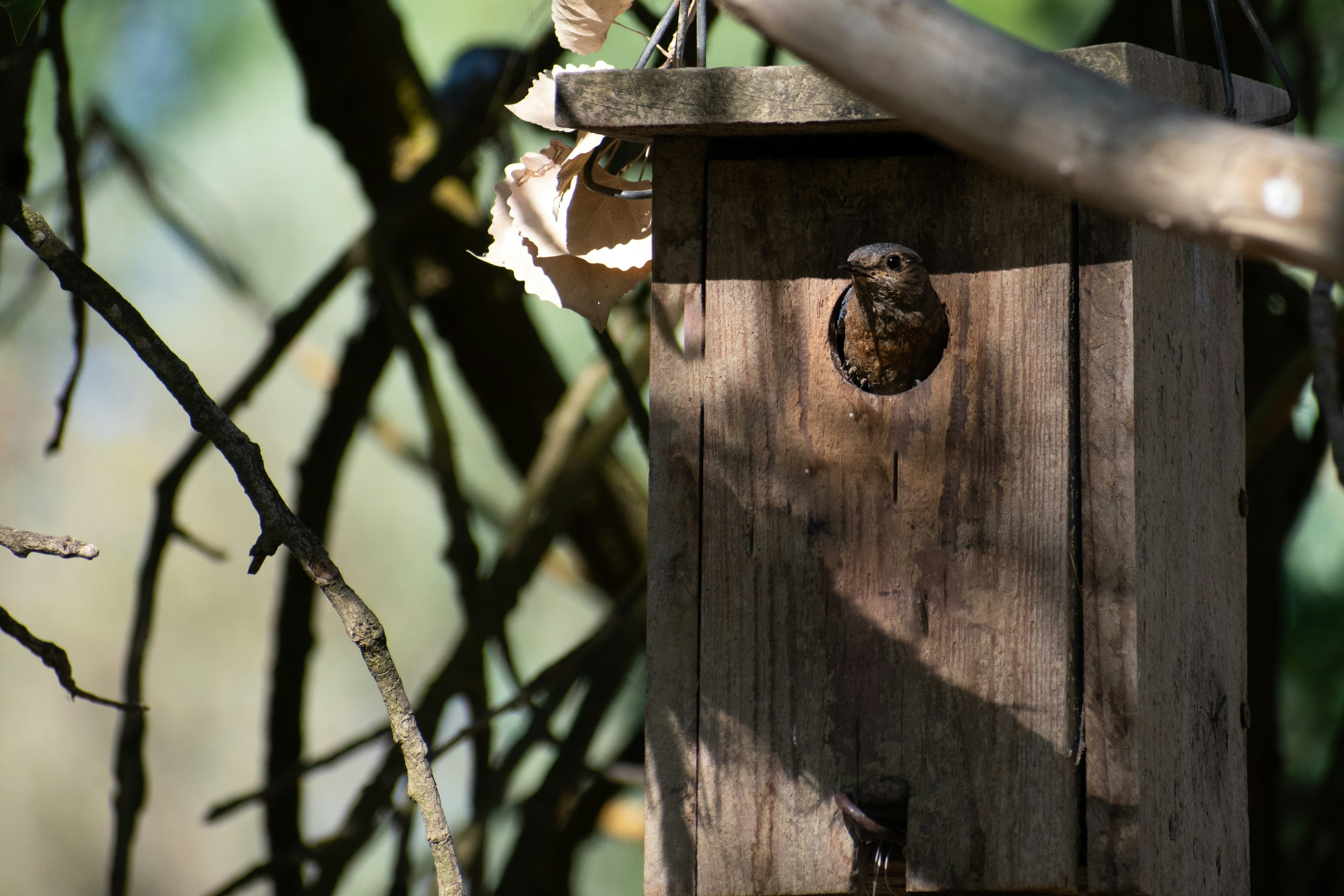 Photo by elisastonephotography