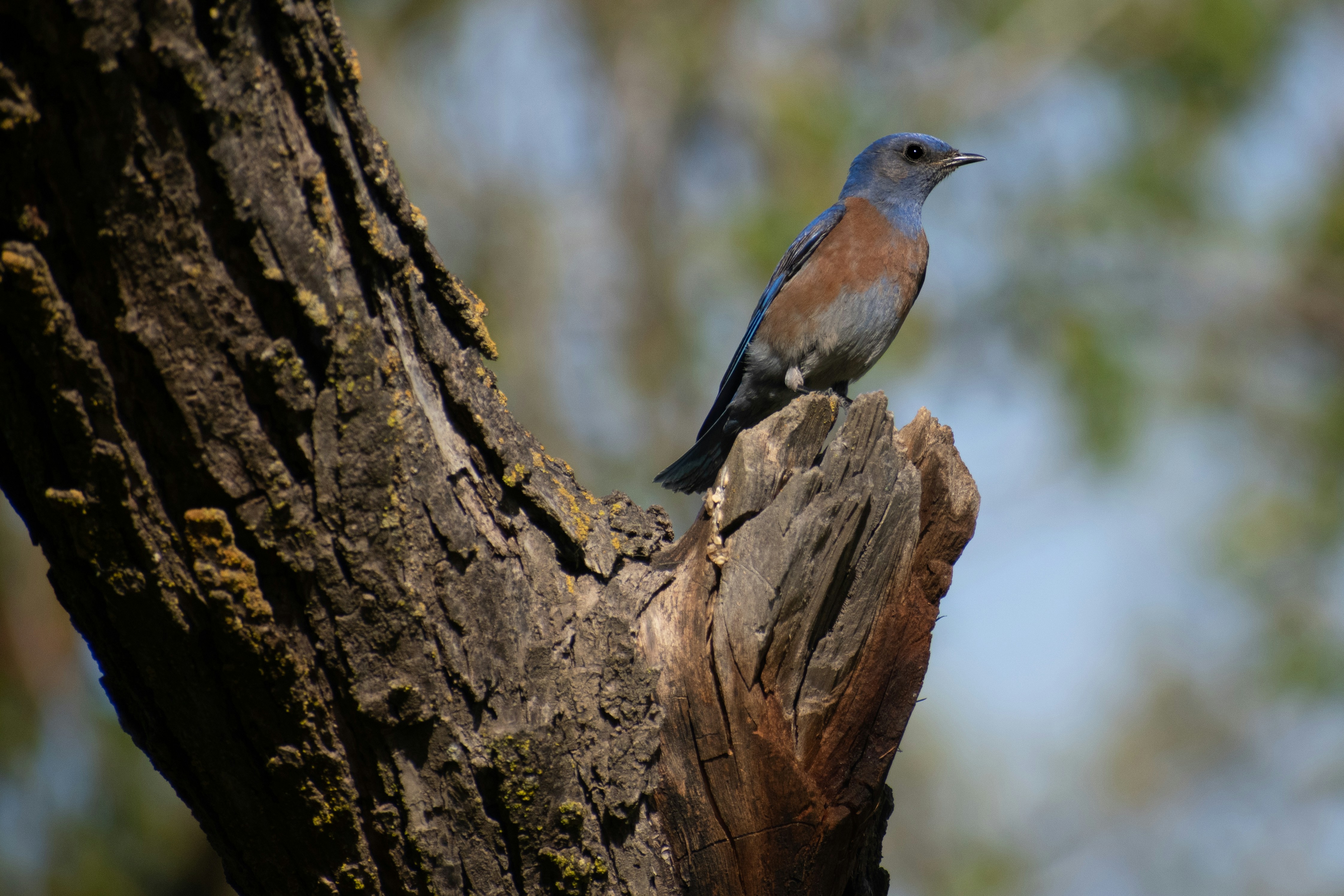 Photo by elisastonephotography