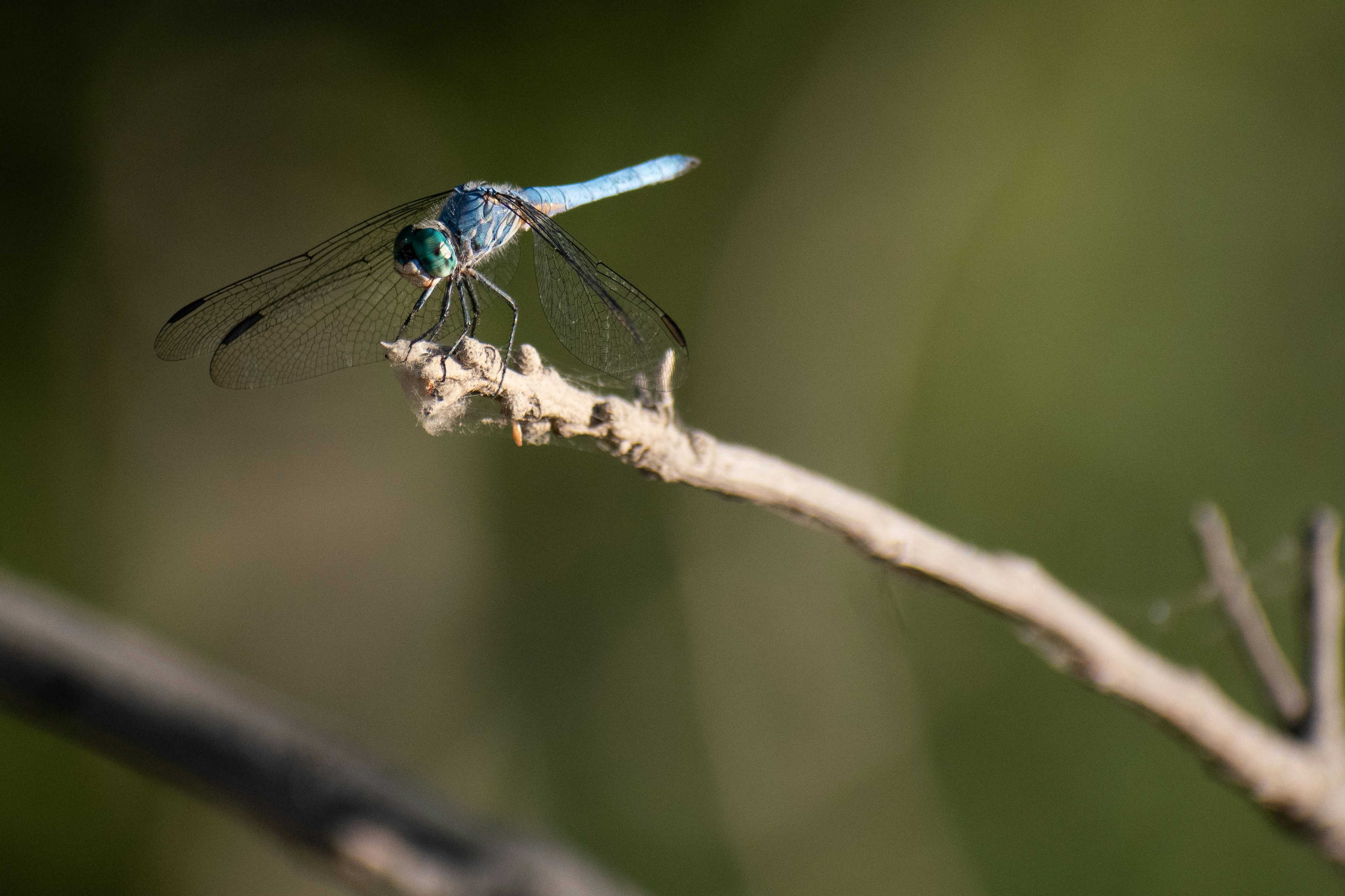 Photo by elisastonephotography