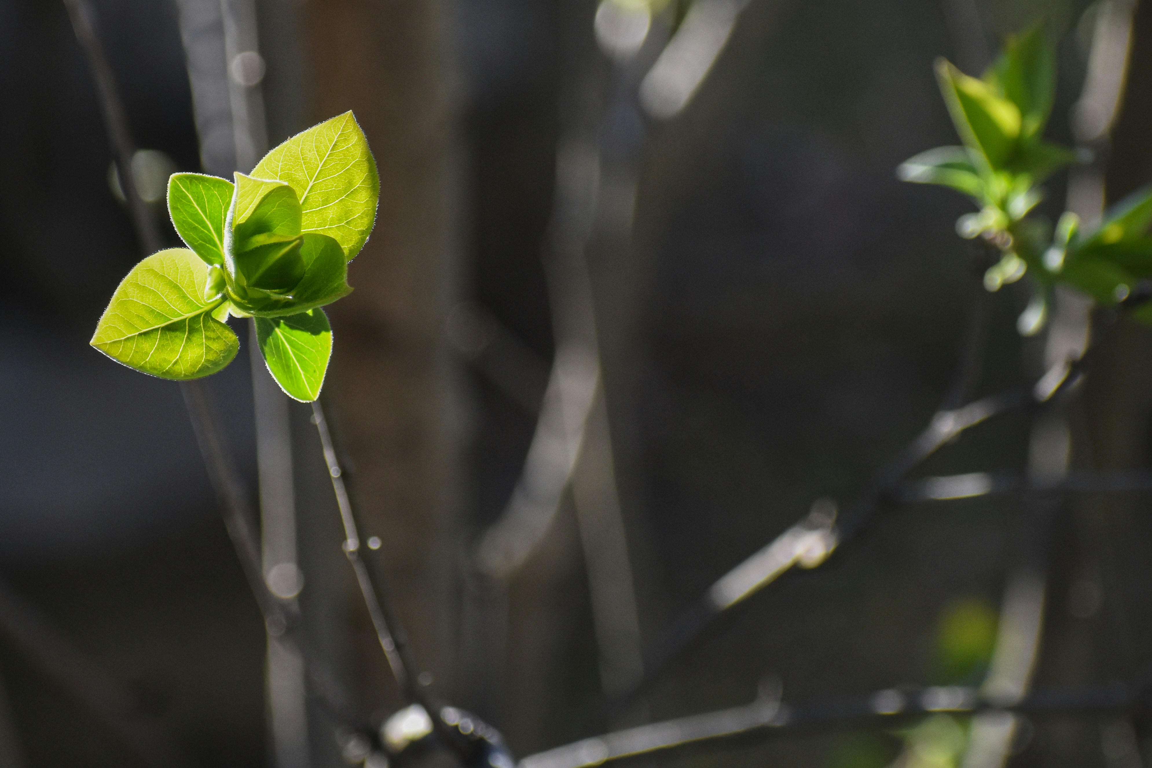 Photo by elisastonephotography