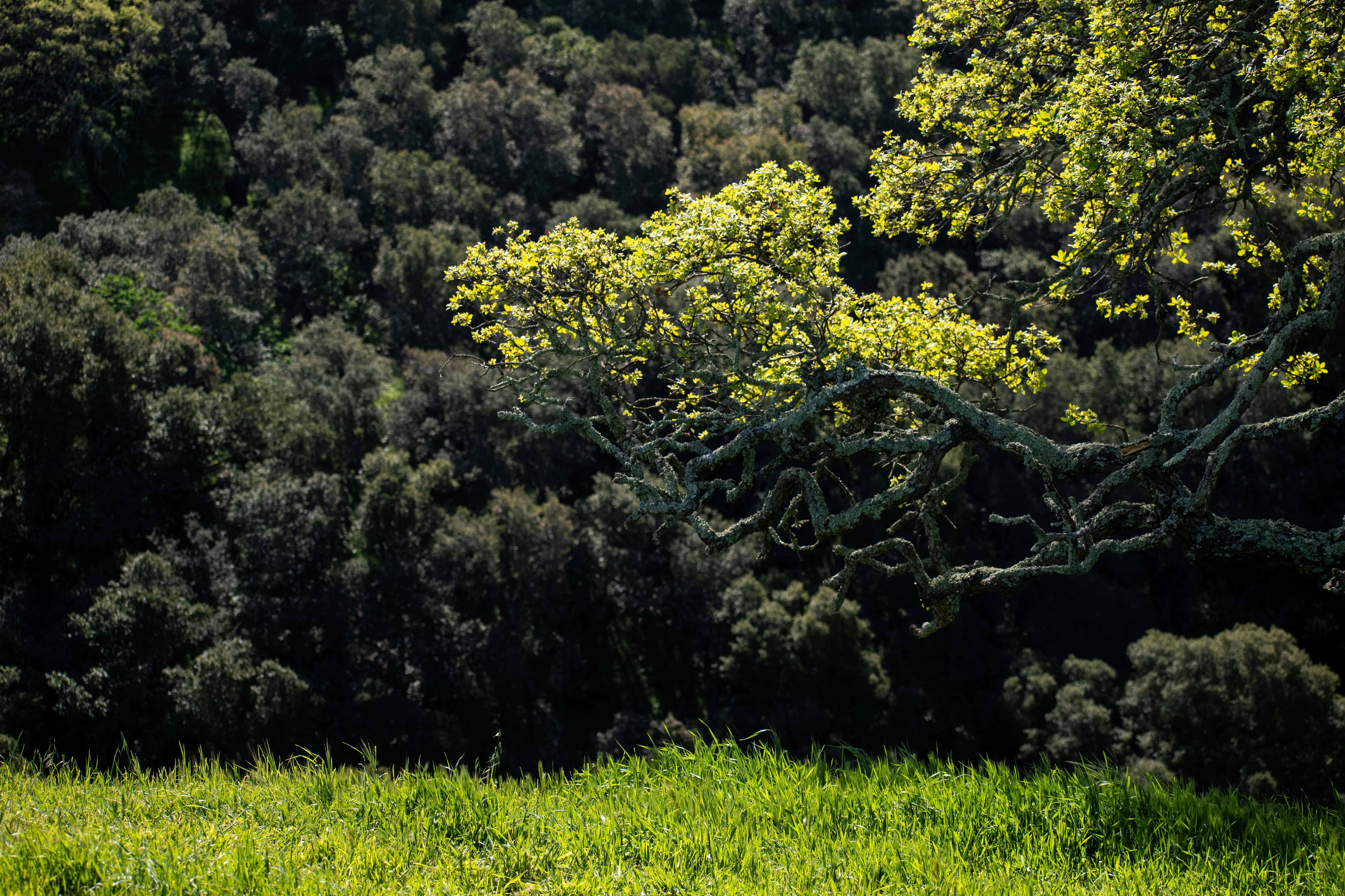 Photo by elisastonephotography