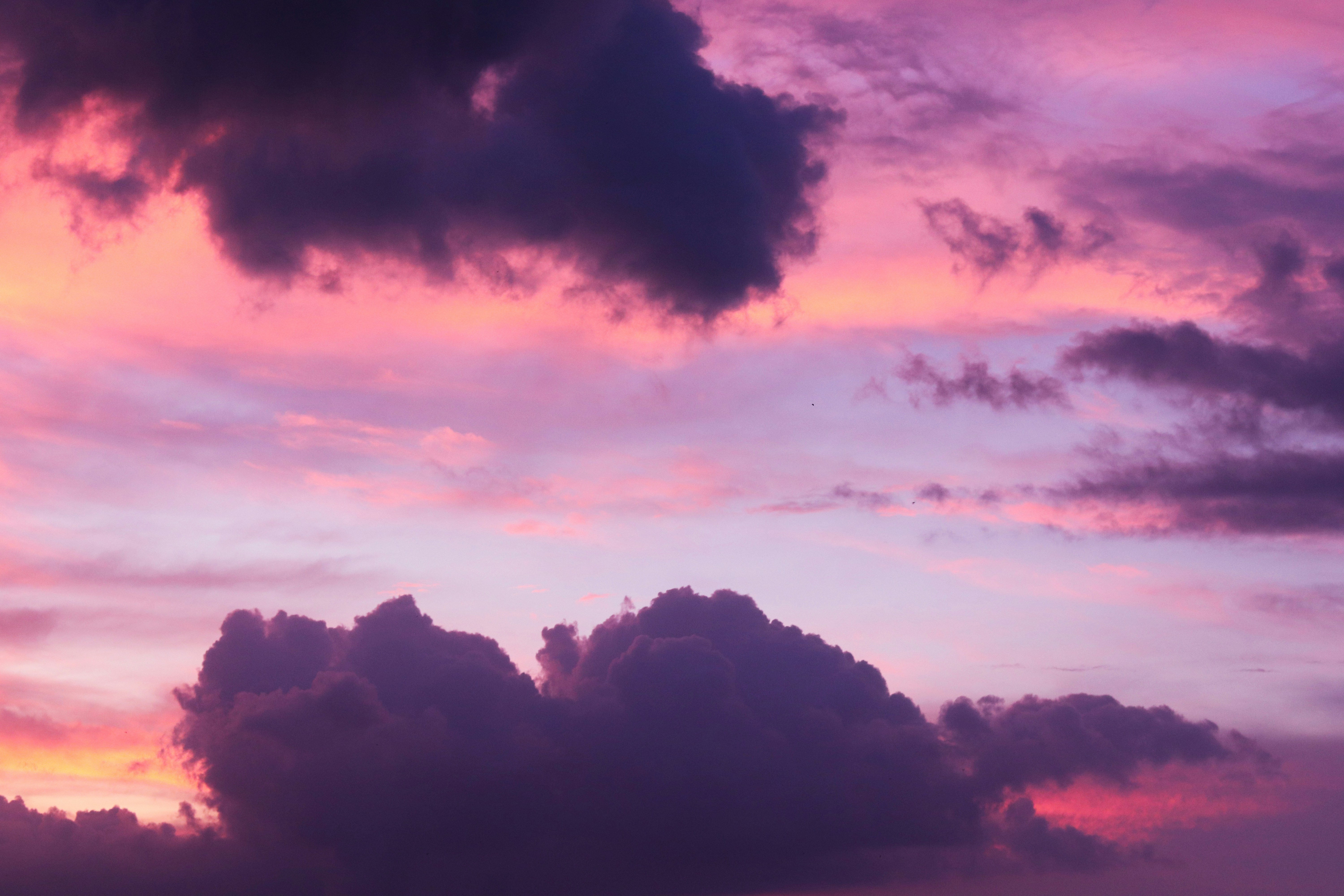 Photo by prashant_yonzan