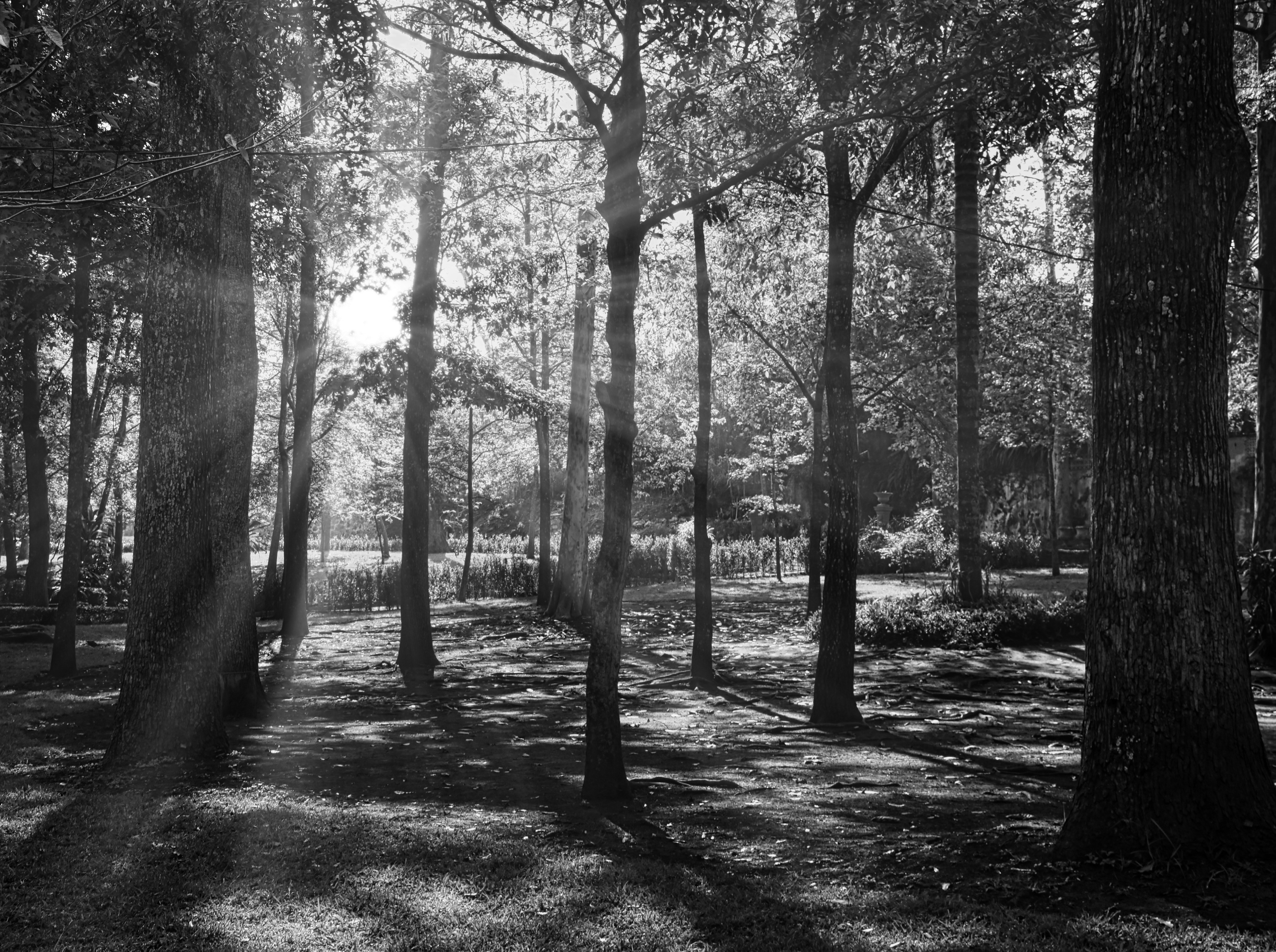 Photo by nacho_velmont