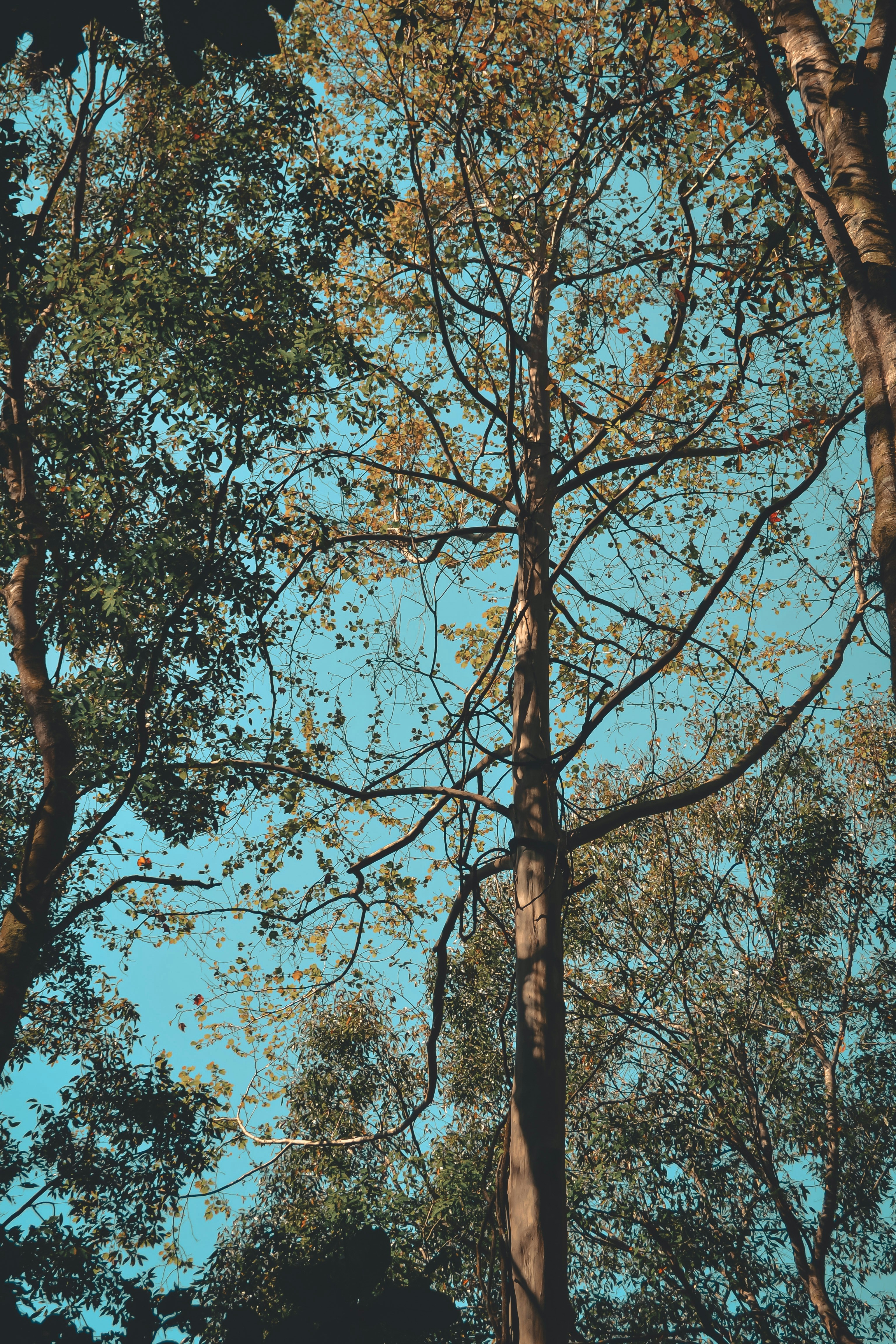 Photo by nacho_velmont