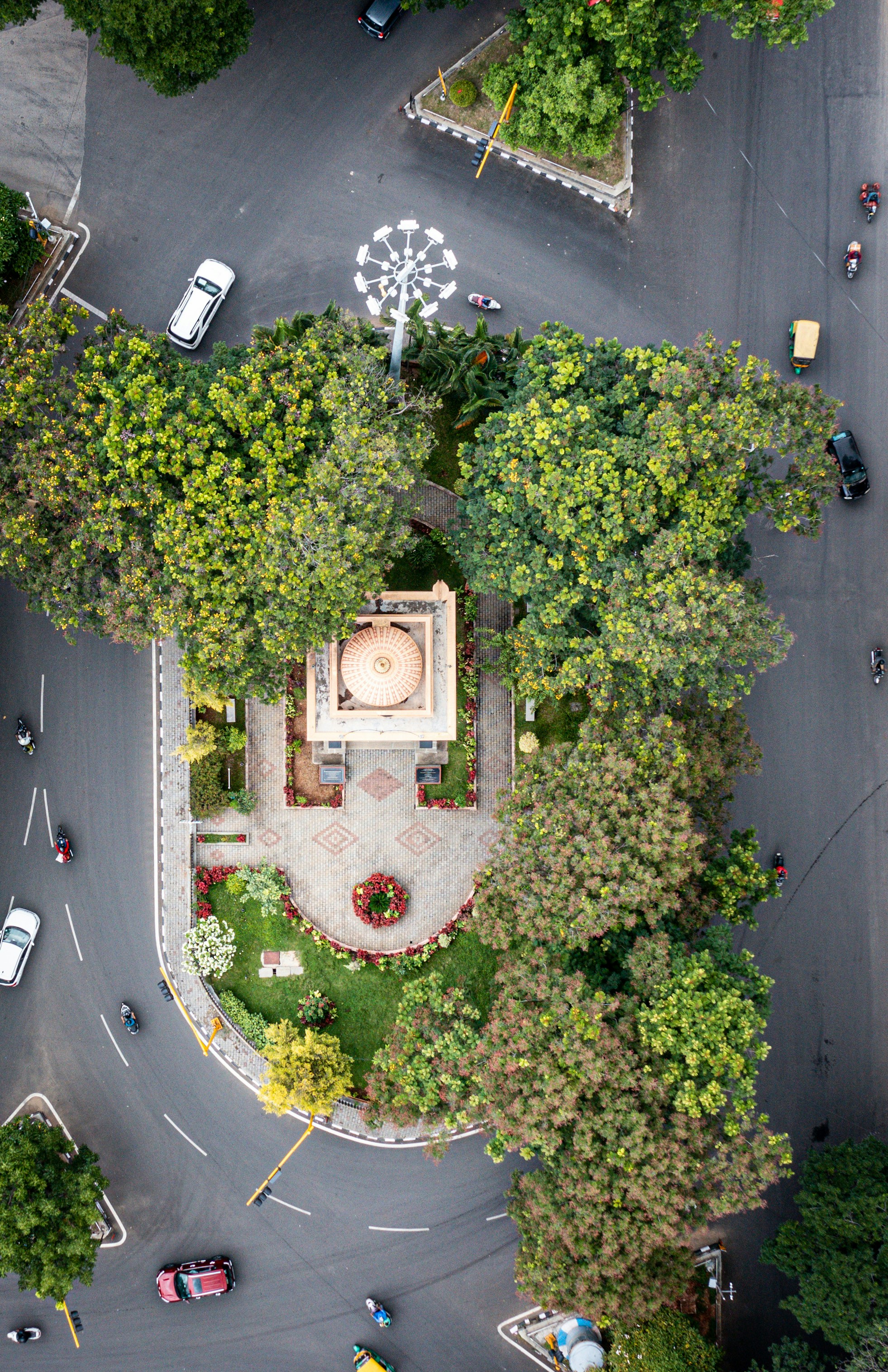 veduta aerea di alberi e piante verdi