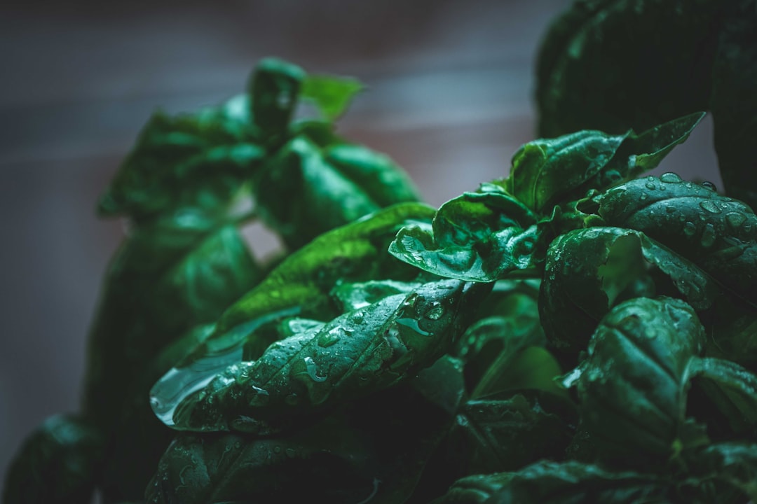 green leaves in tilt shift lens