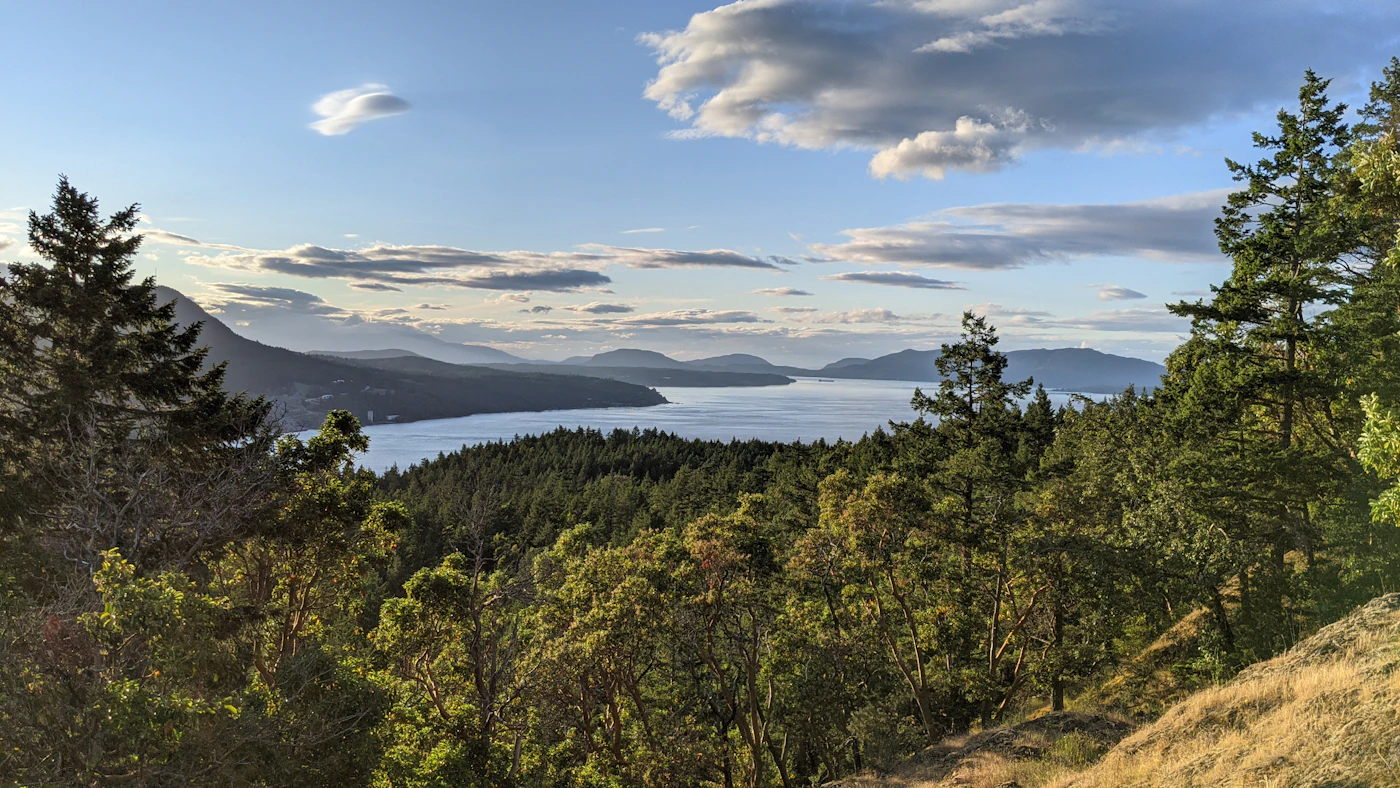 Looking out over forested hills to the ocean