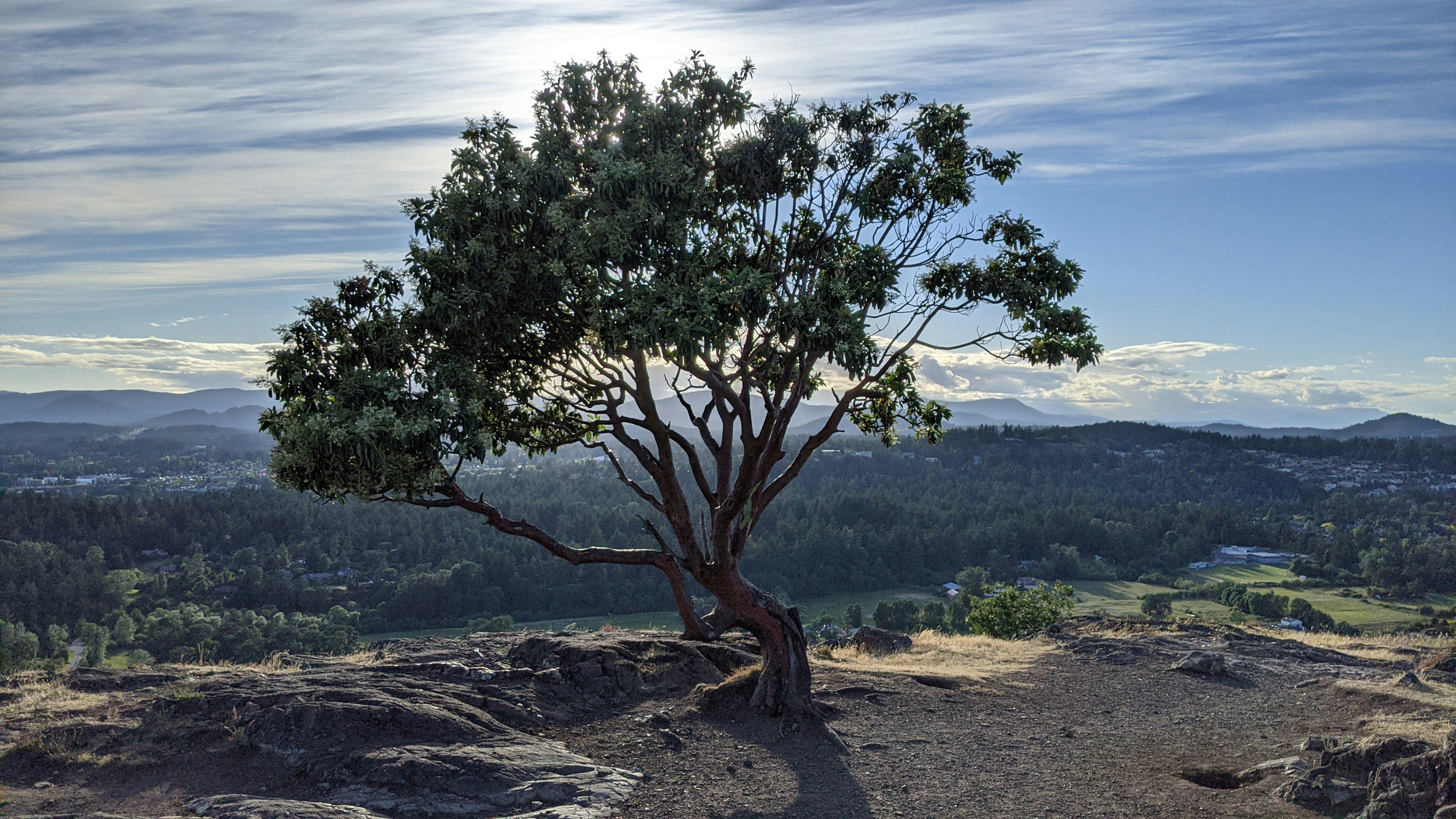 Neurobiologia Spokoju, Rytm i  Potęga 3-6-9