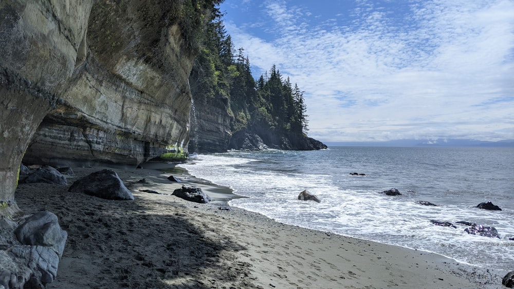 people on beach during daytime