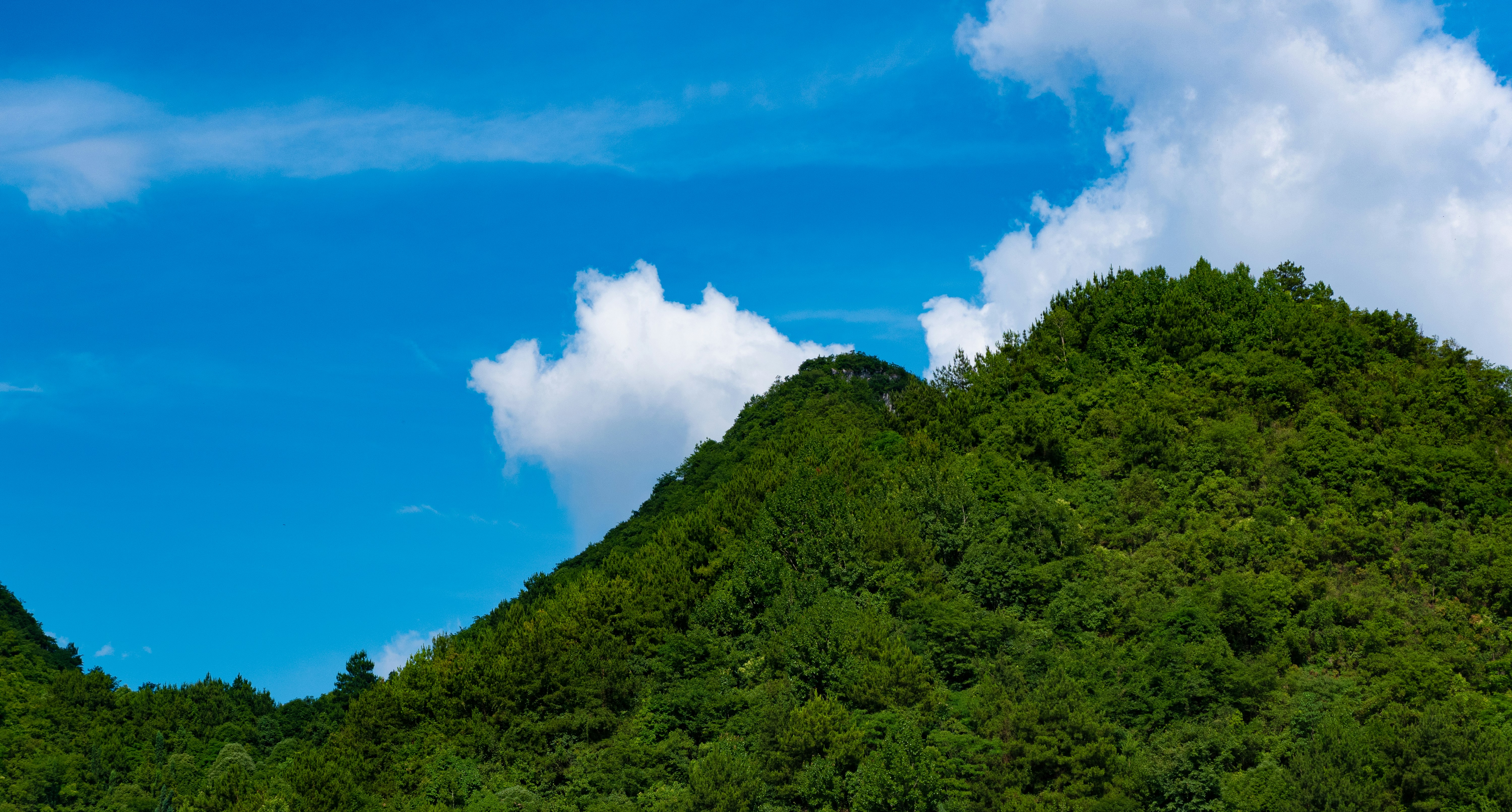 Photo by sunriseking