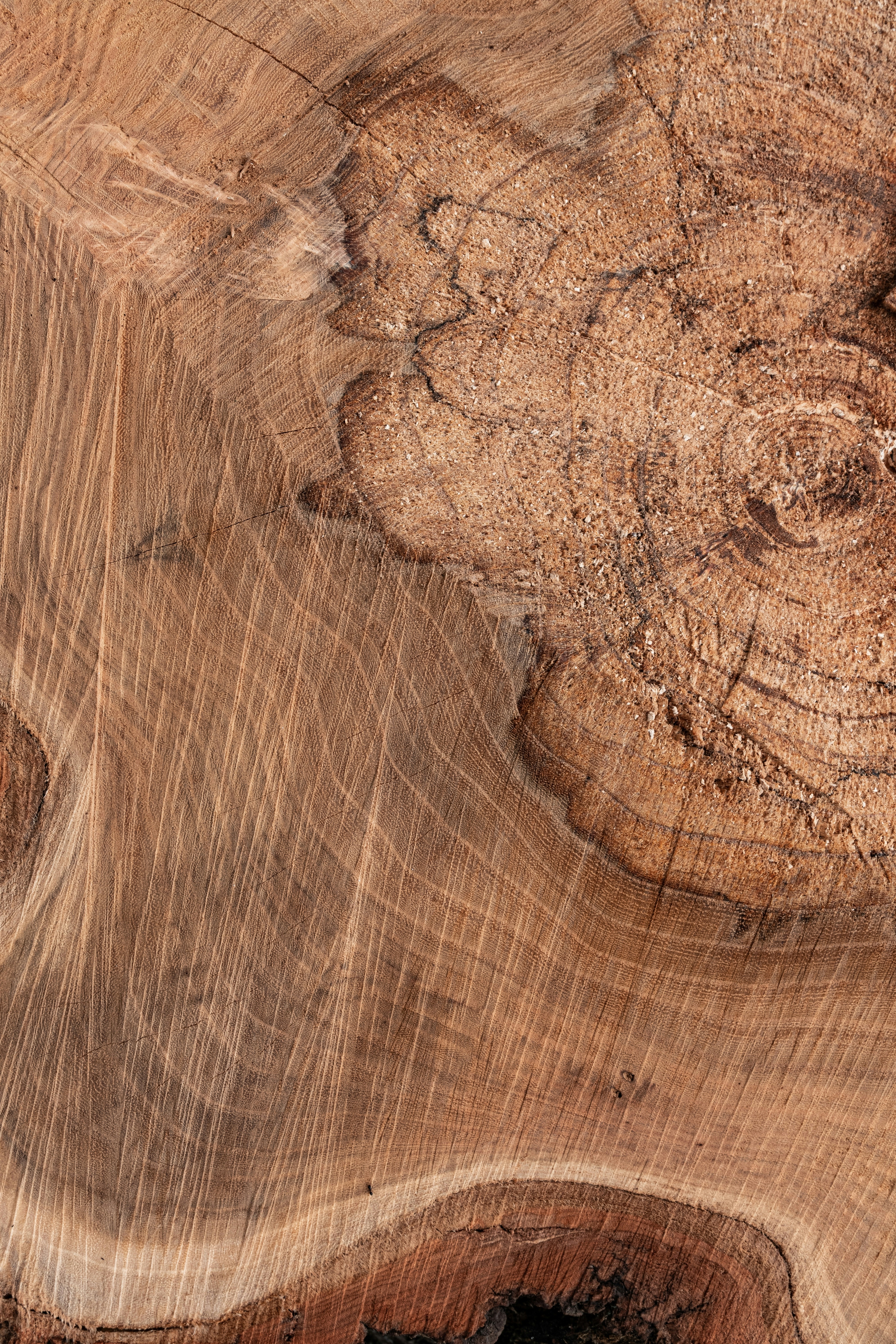 Photo by sunriseking