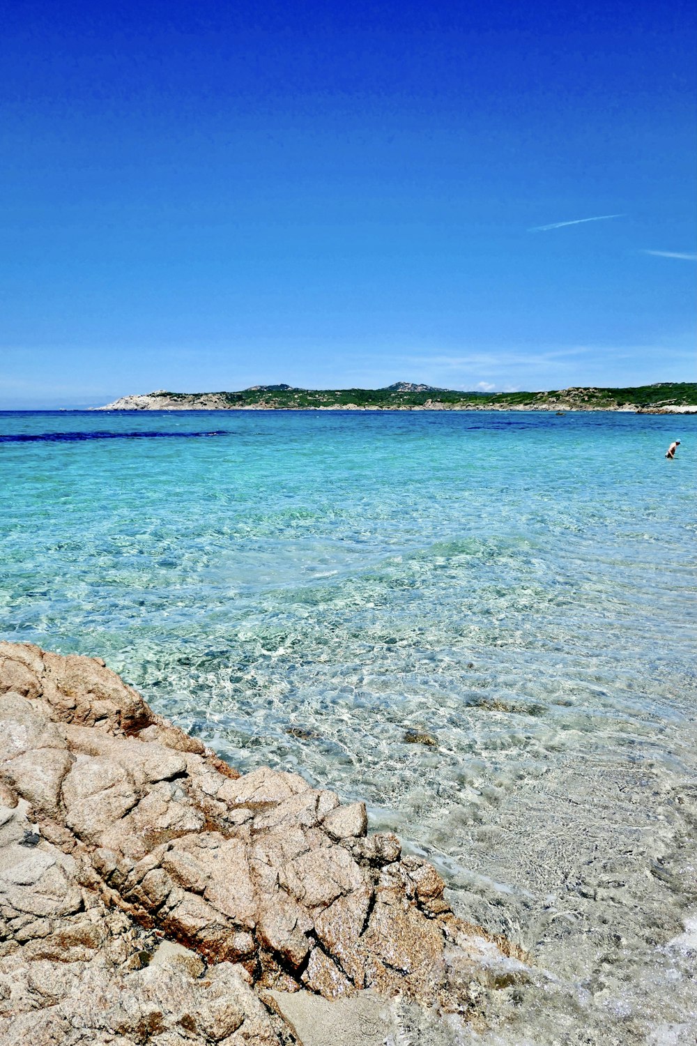 people swimming on sea during daytime