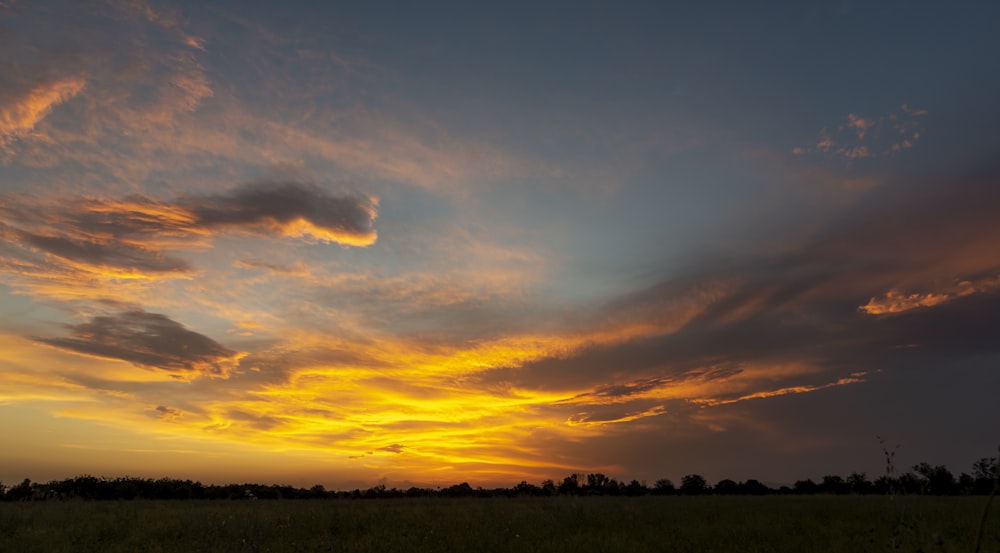 silhouette of trees under cloudy sky during sunset