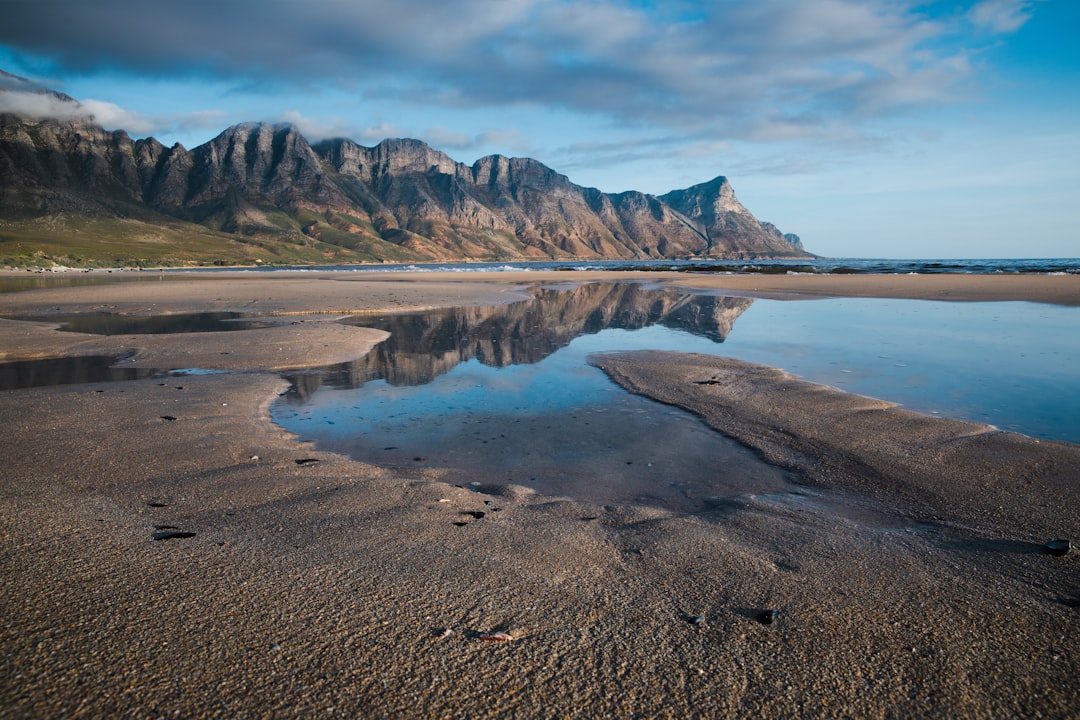 brown sand near body of water during daytime