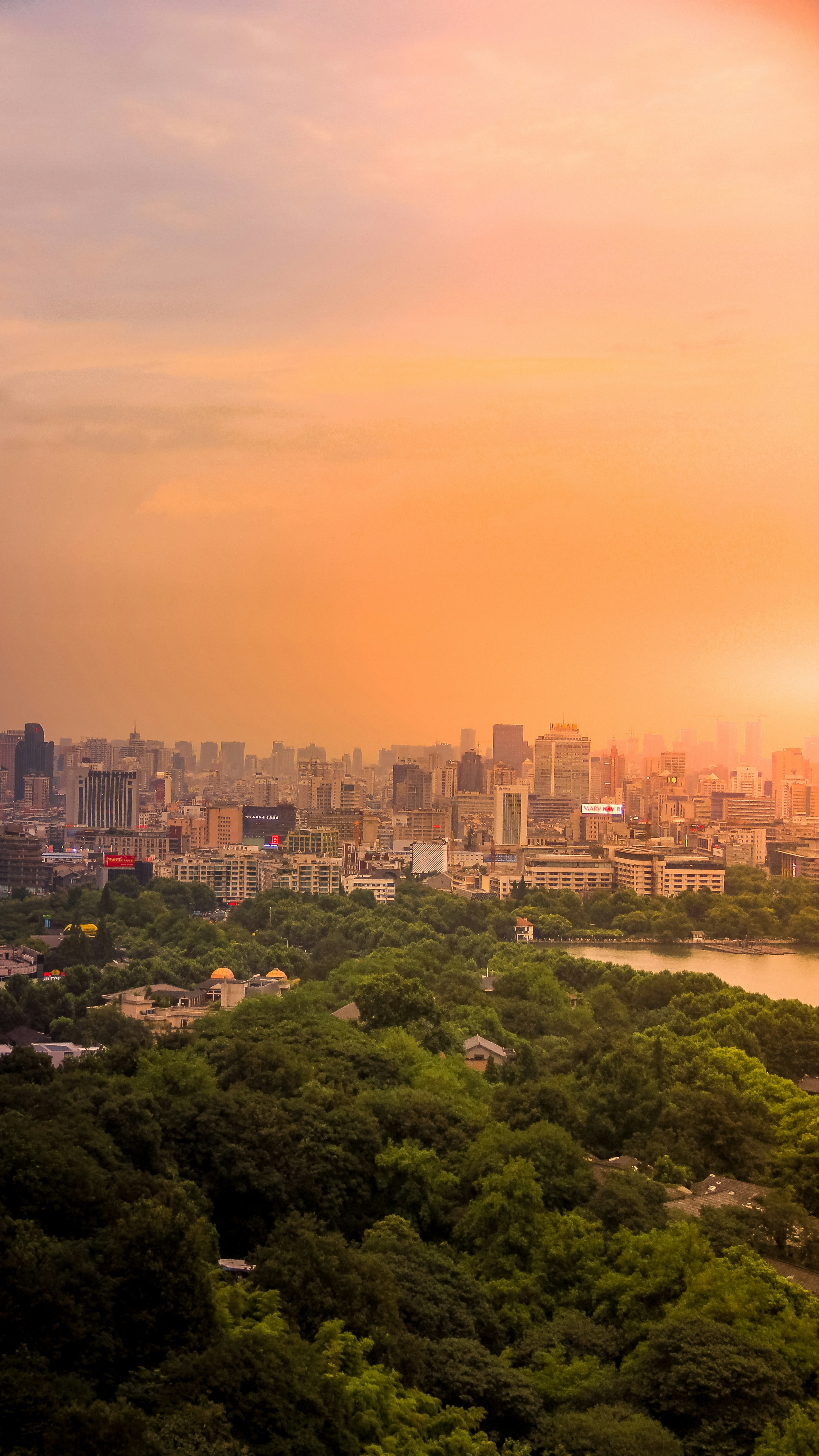 green trees and city buildings during sunset