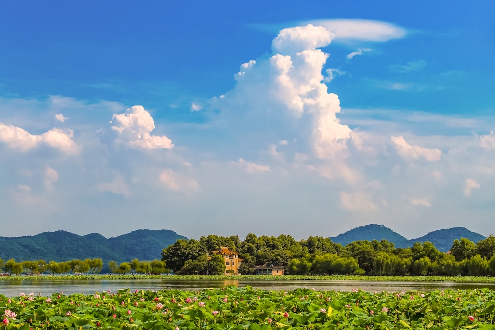 green trees and mountain under white clouds and blue sky during daytime