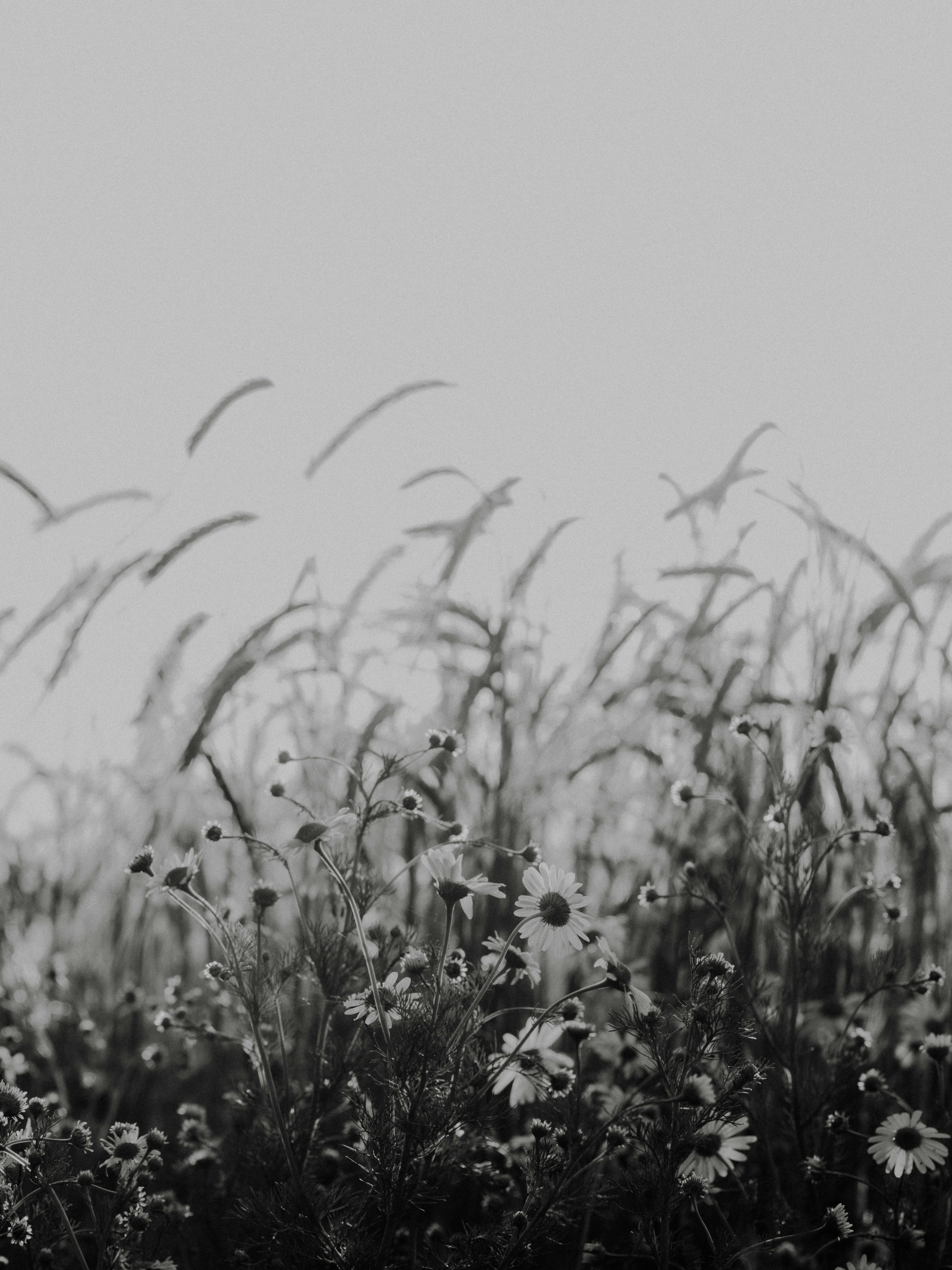 Photo by anniespratt