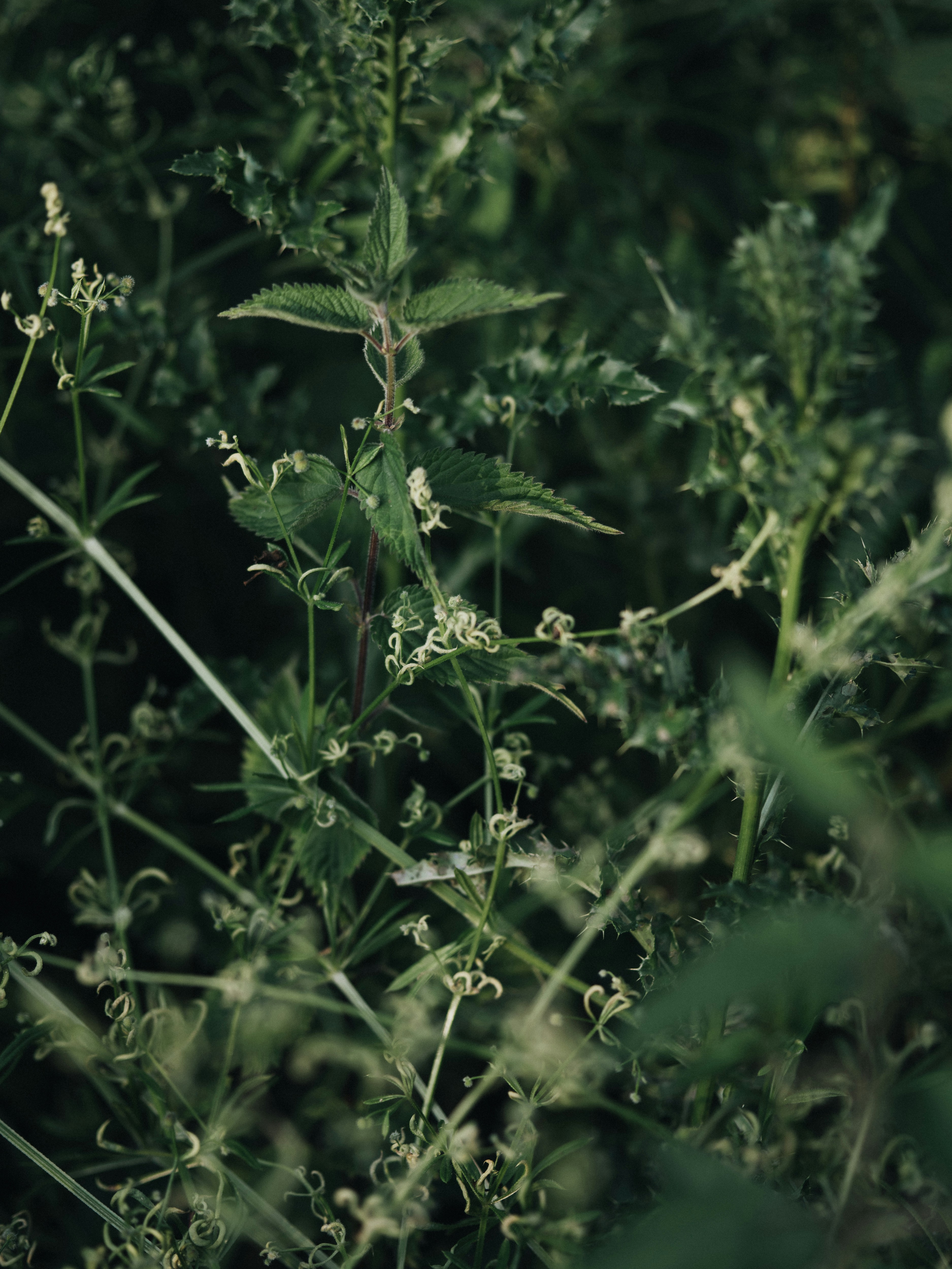 Photo by anniespratt