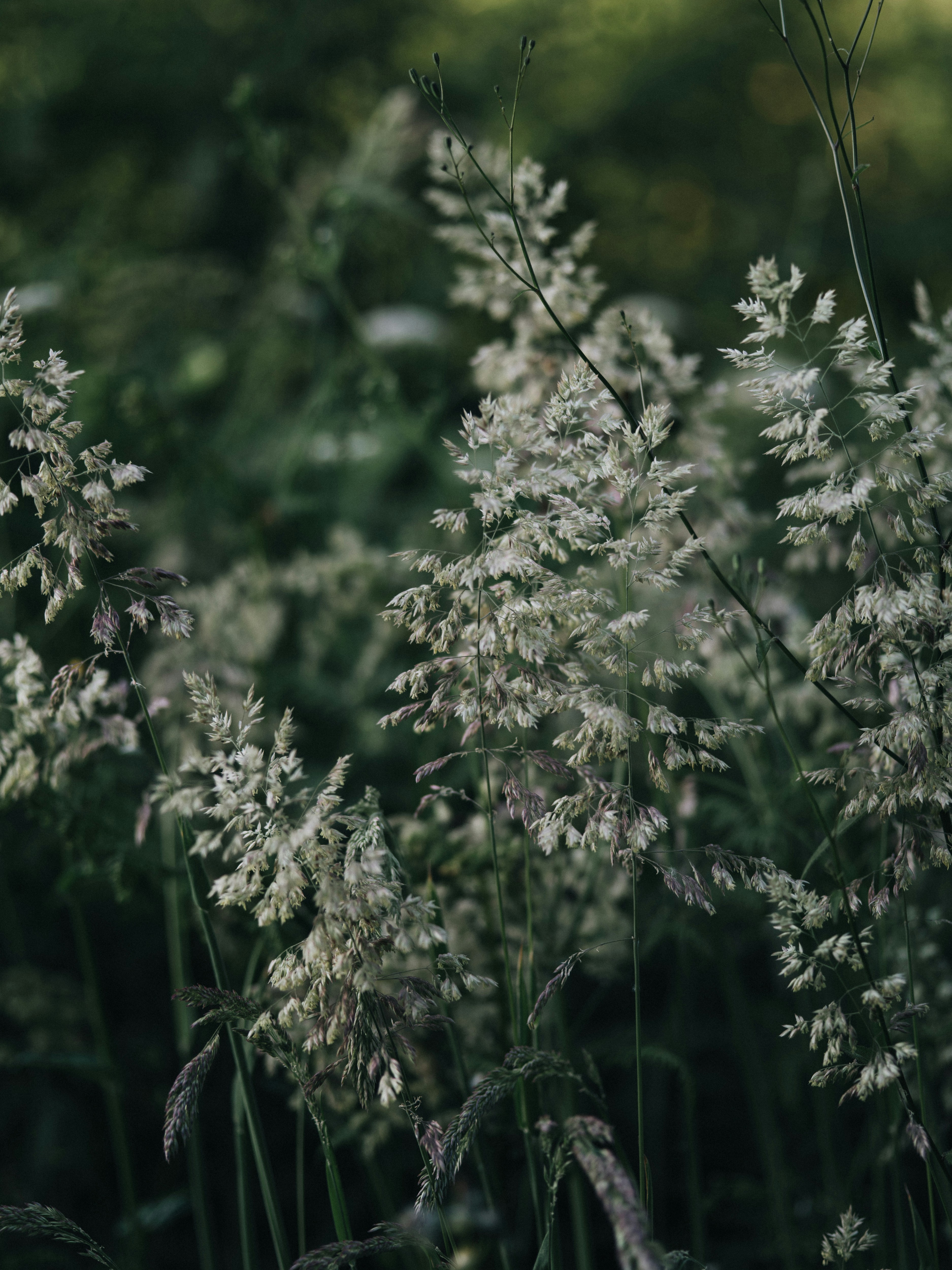 Photo by anniespratt