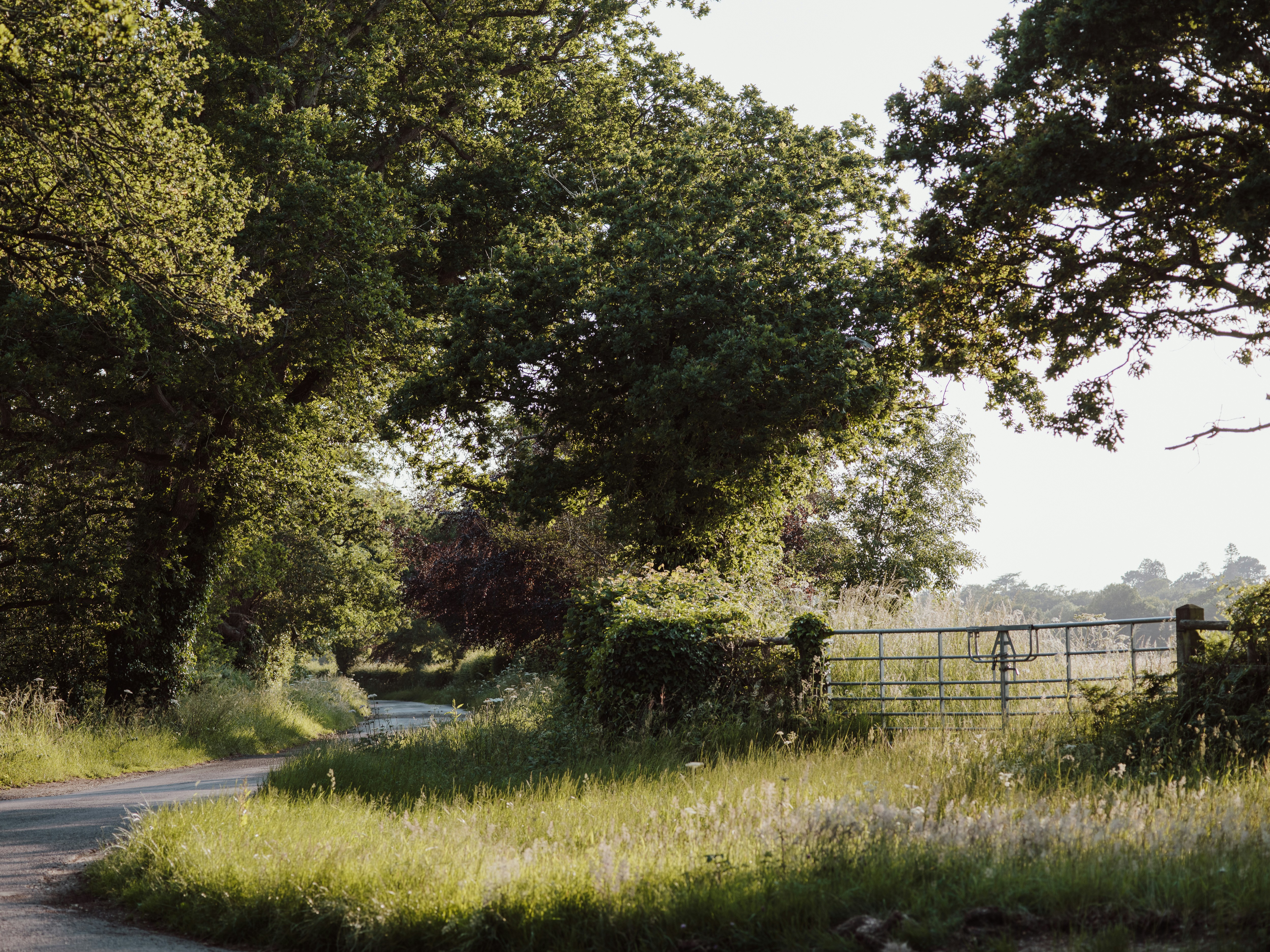 Photo by anniespratt