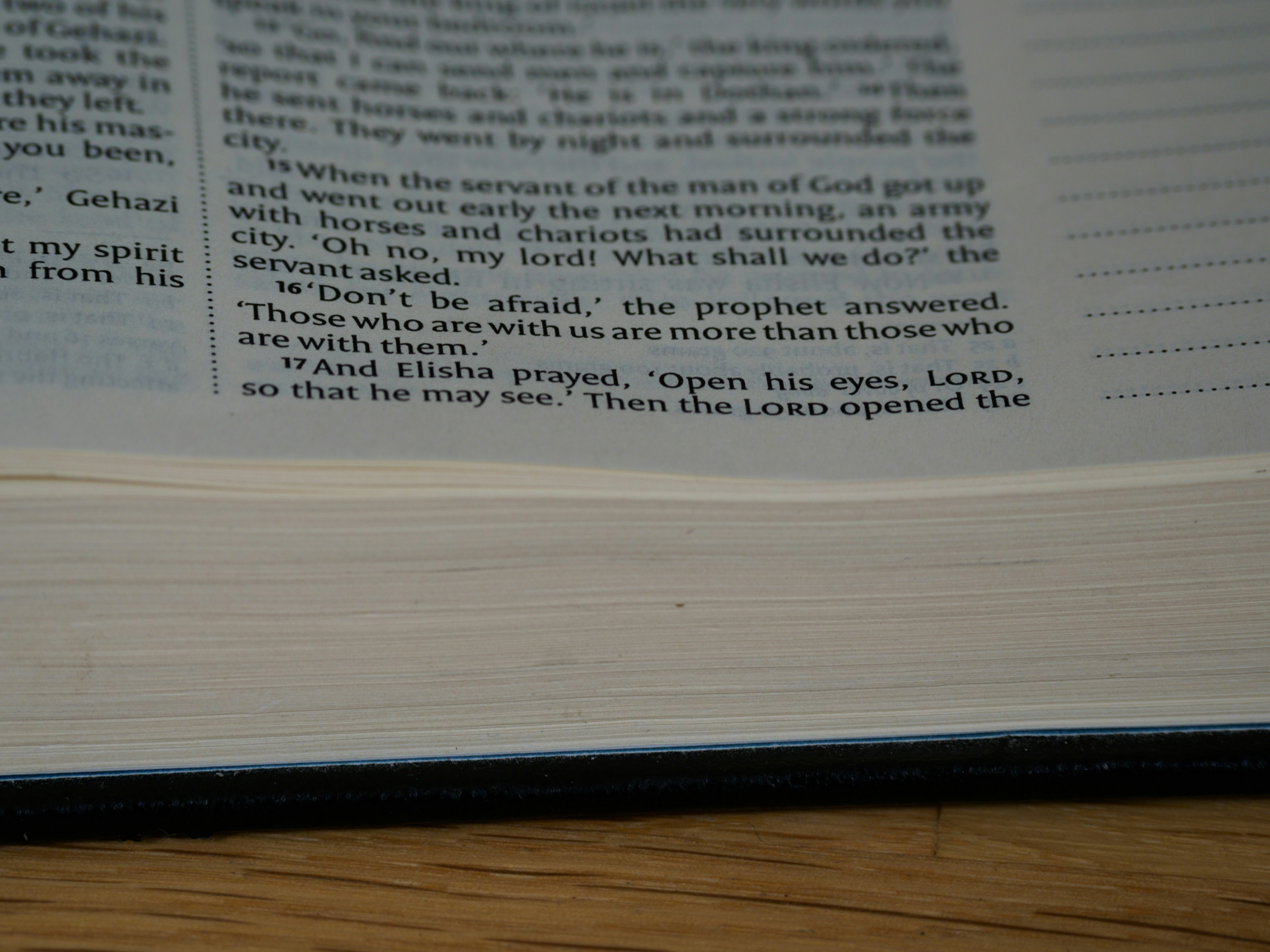 Photo by brett_jordan