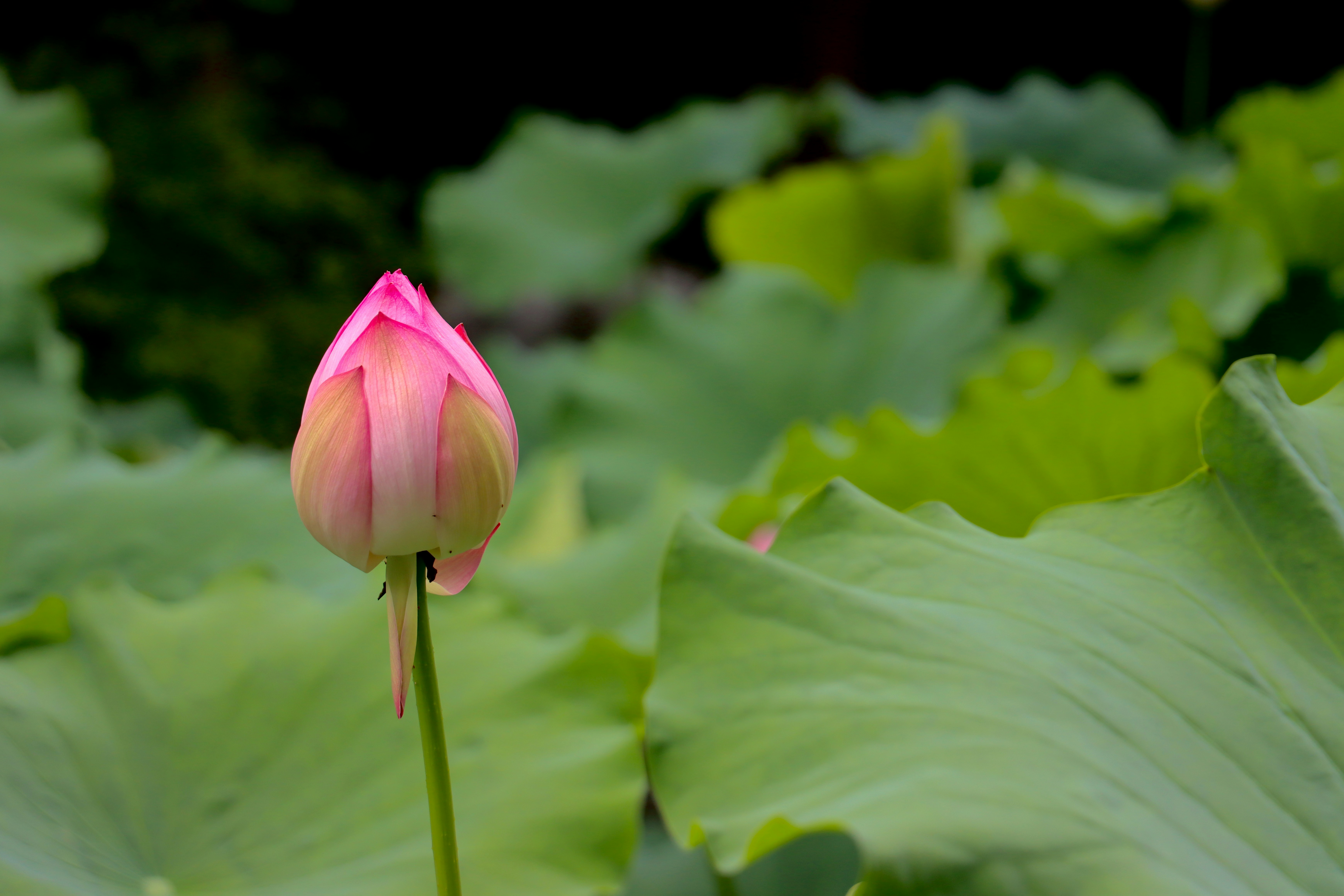 Photo by exploringzhongguo