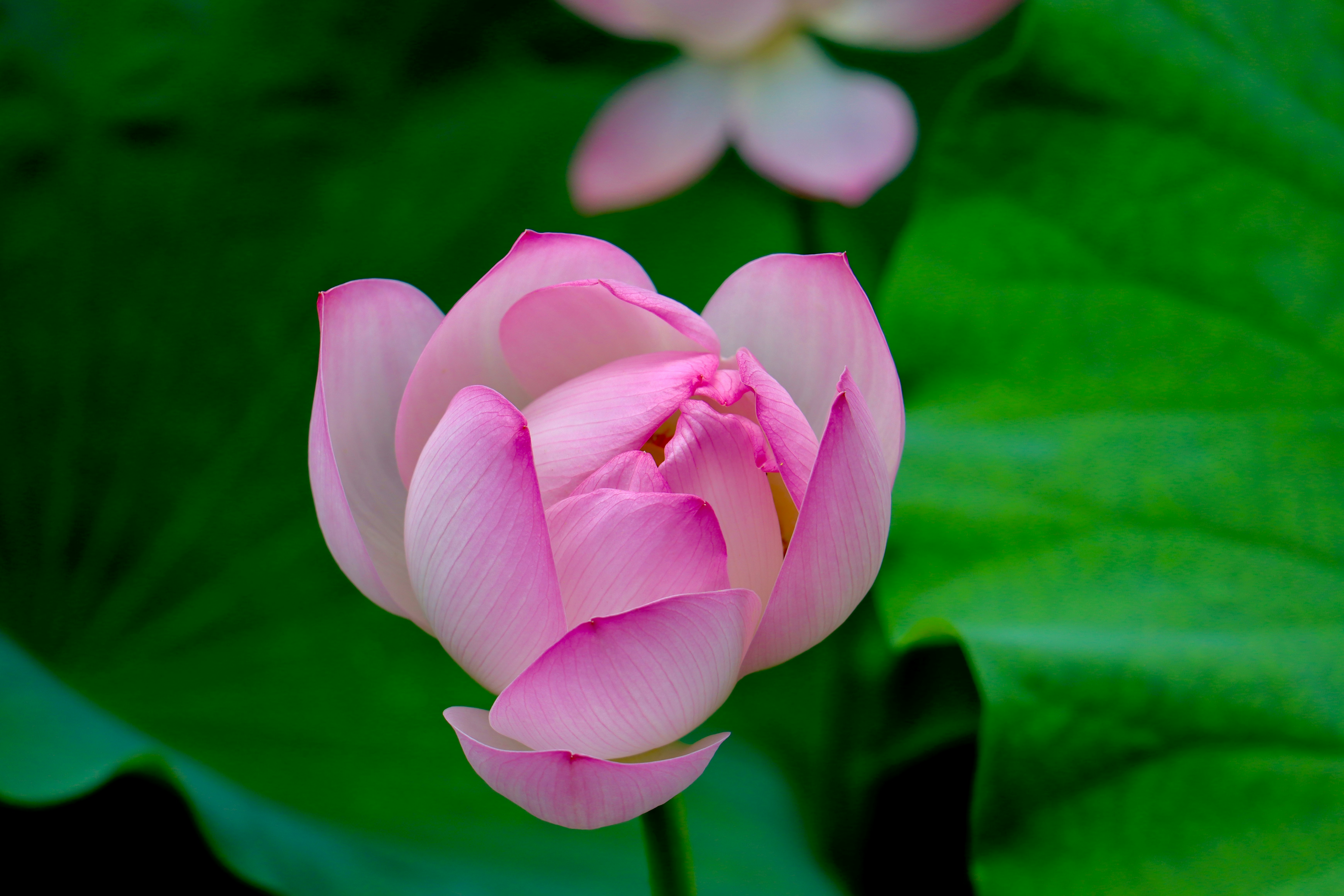 Photo by exploringzhongguo