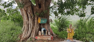 A majestic peepal tree with sprawling branches, surrounded by devotees in prayer.