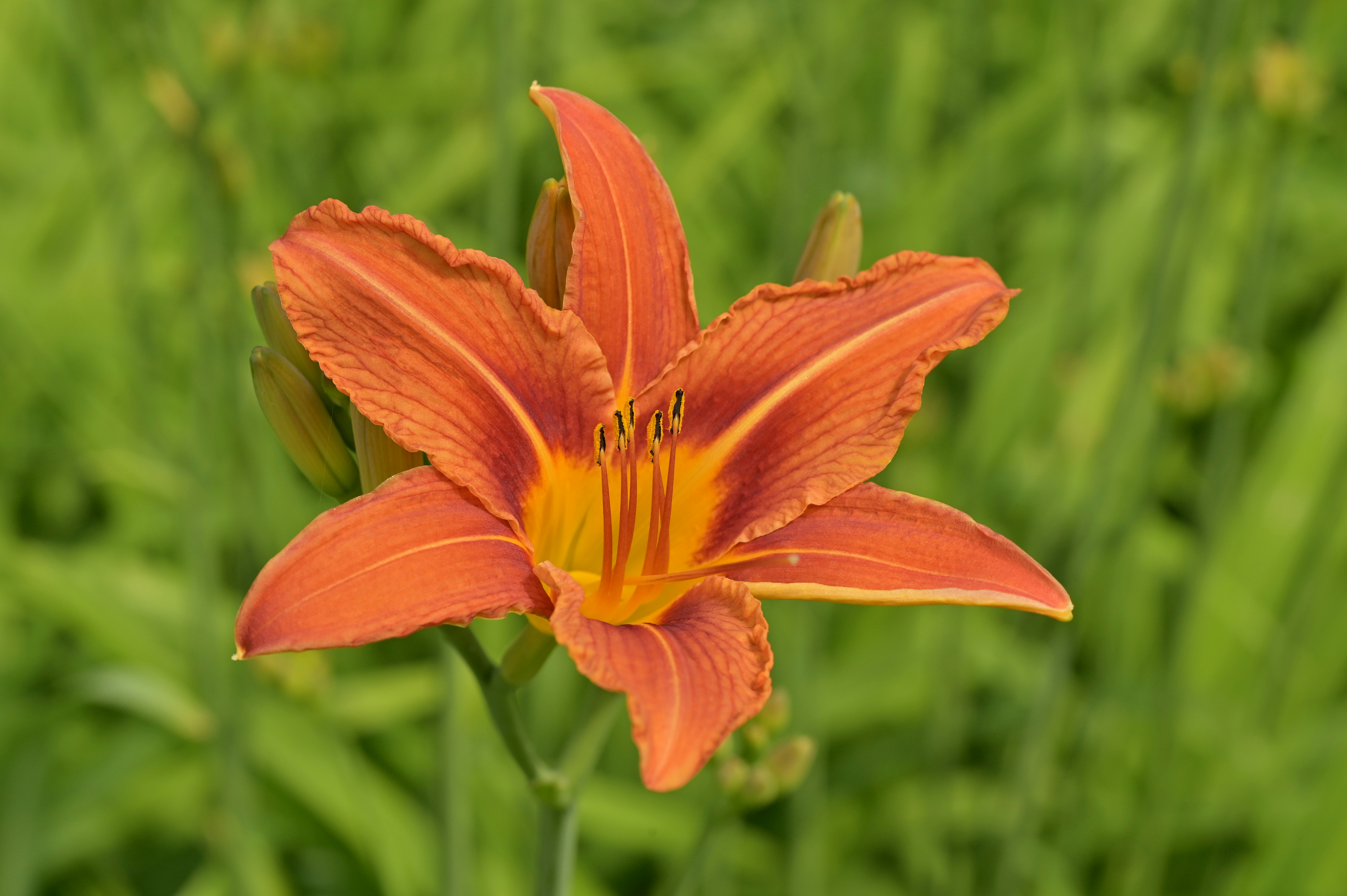 Photo by johnmcclane