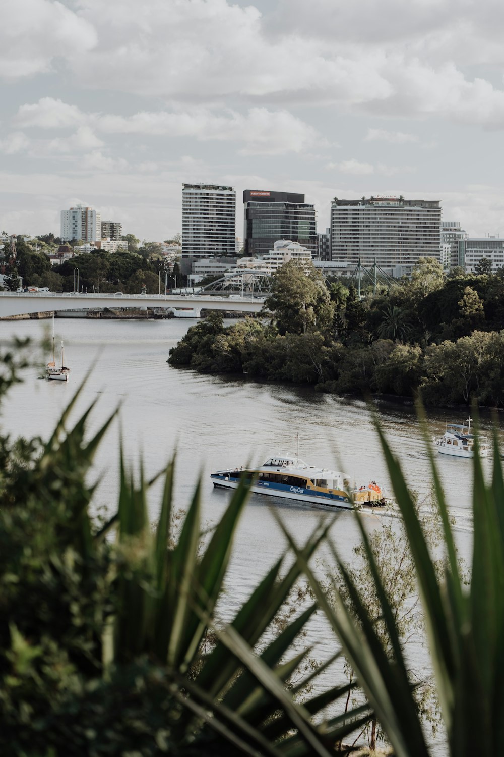 blau-weißes Boot tagsüber auf dem Fluss