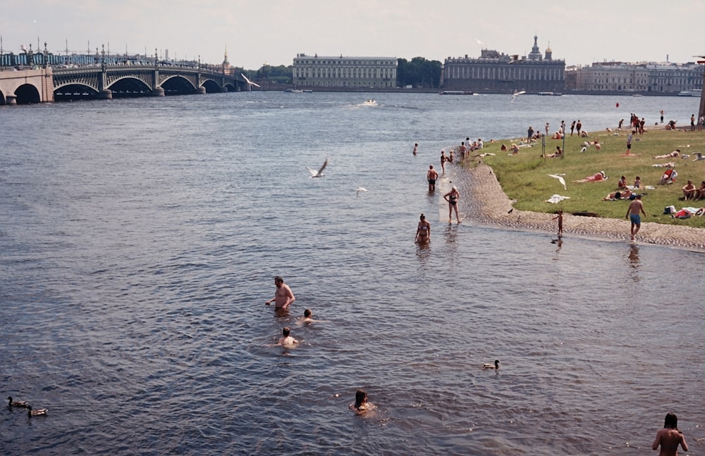 people swimming on sea near bridge during daytime