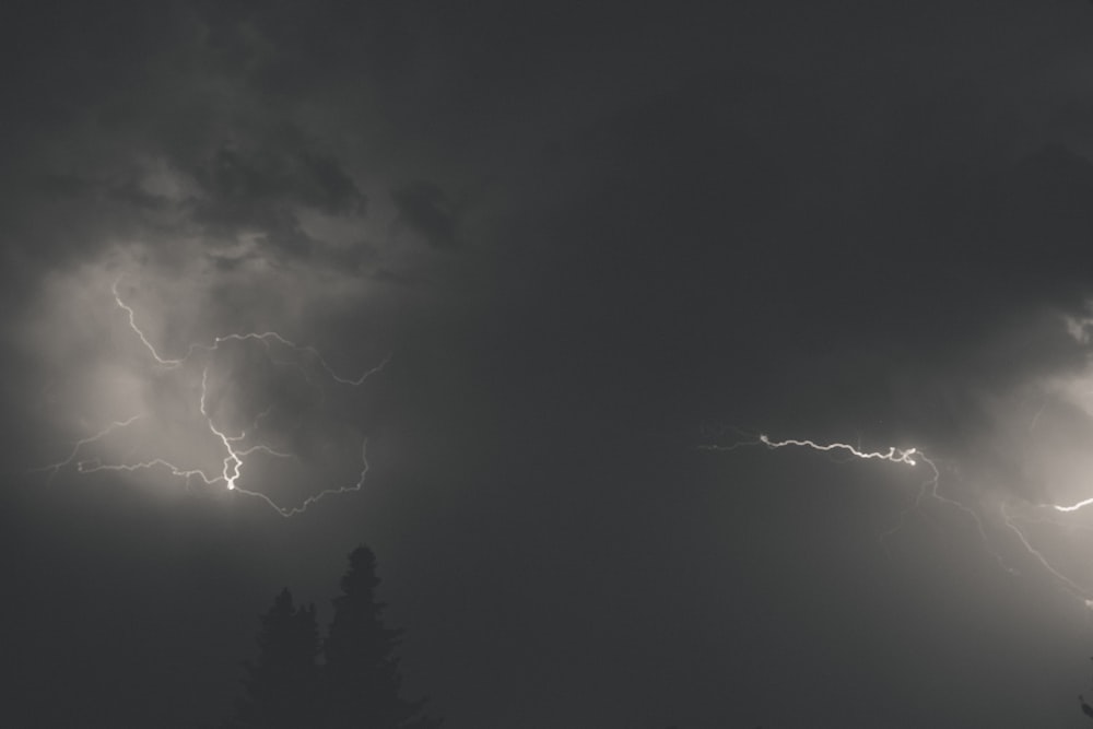 lightning strike on forest during night time