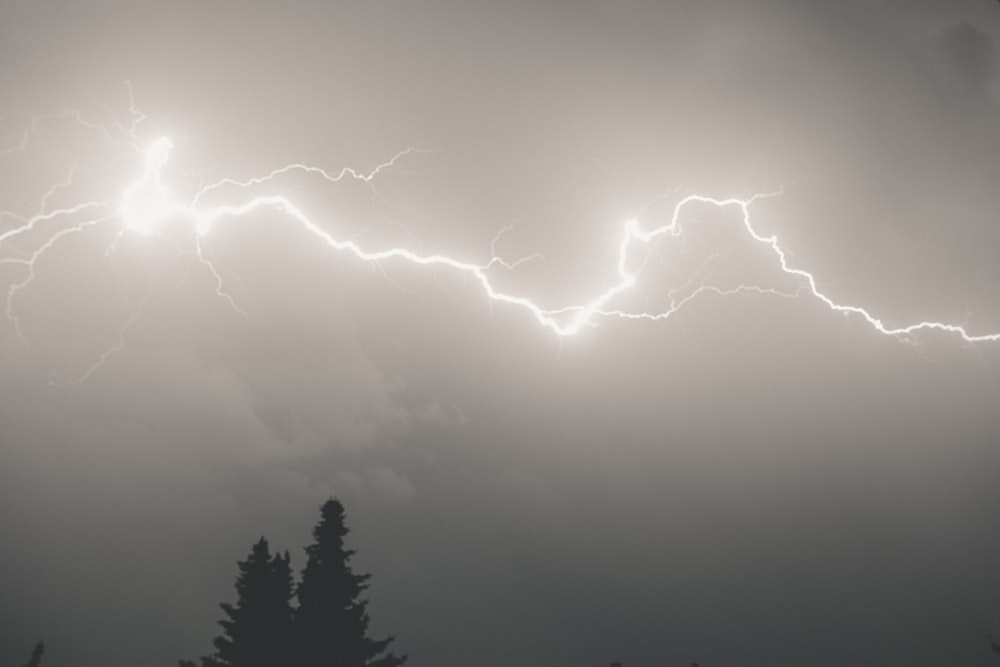 lightning strike on forest during night time