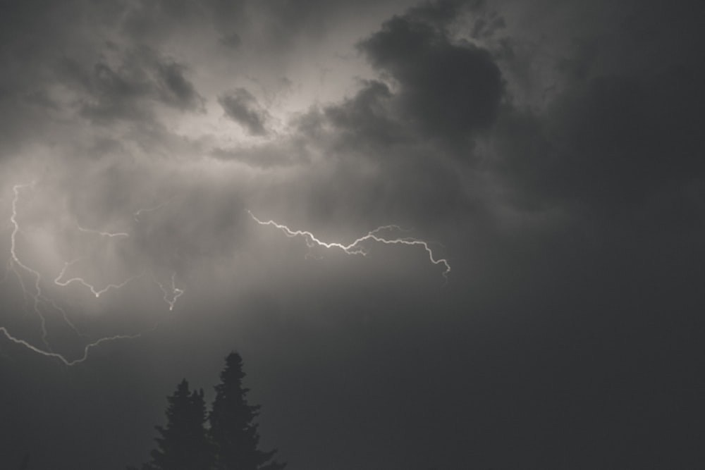 lightning strike over the forest