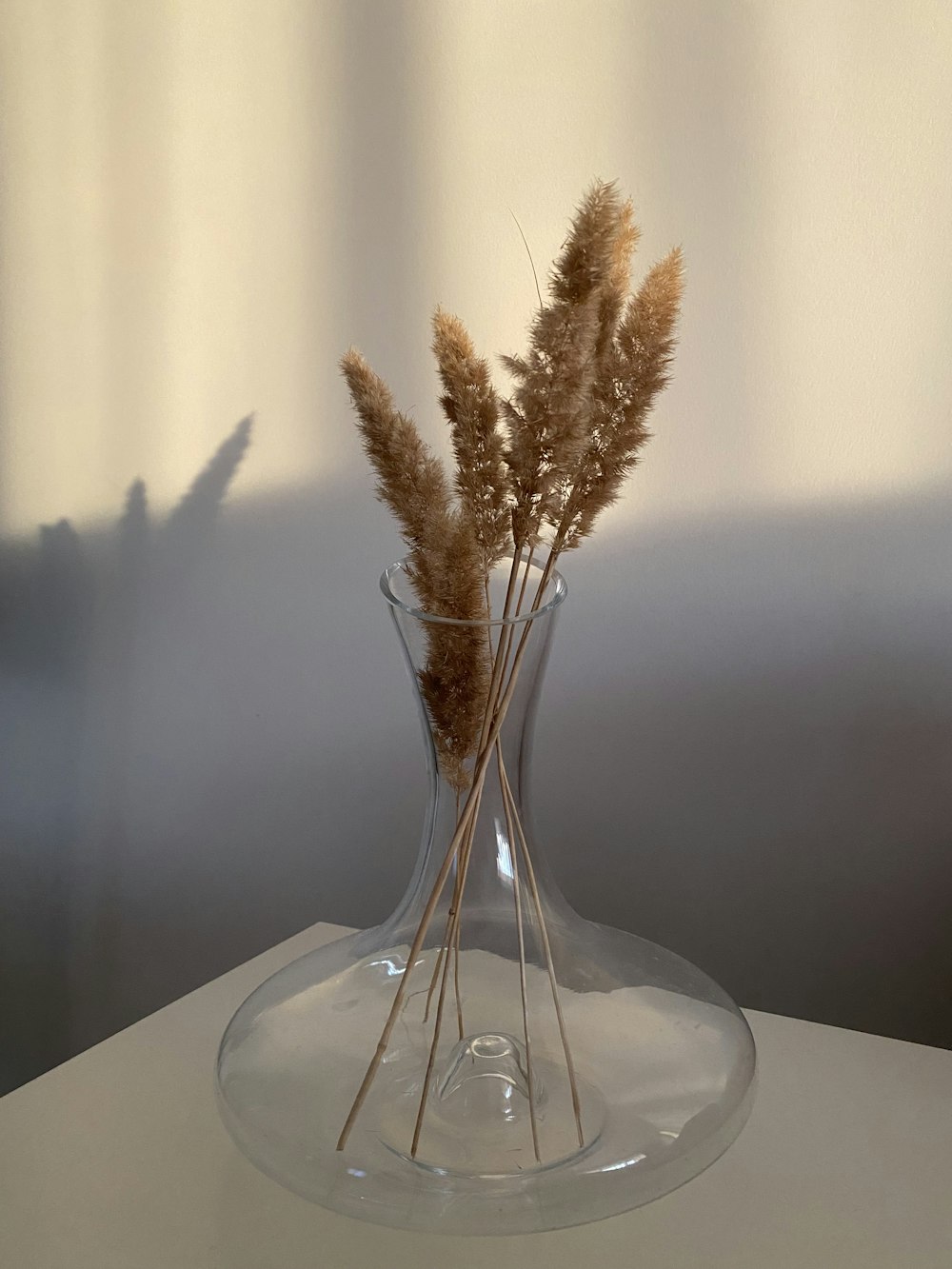 brown plant on clear glass vase