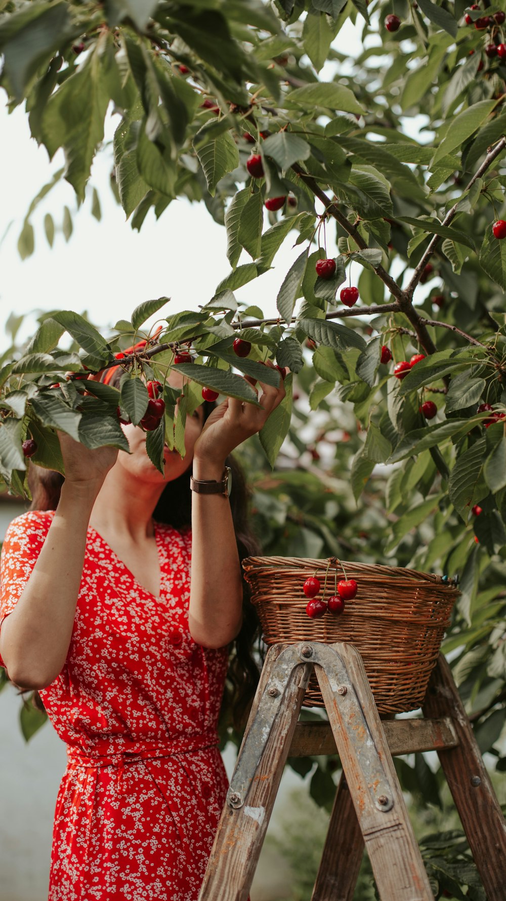 woman in red and white floral dress holding green plant