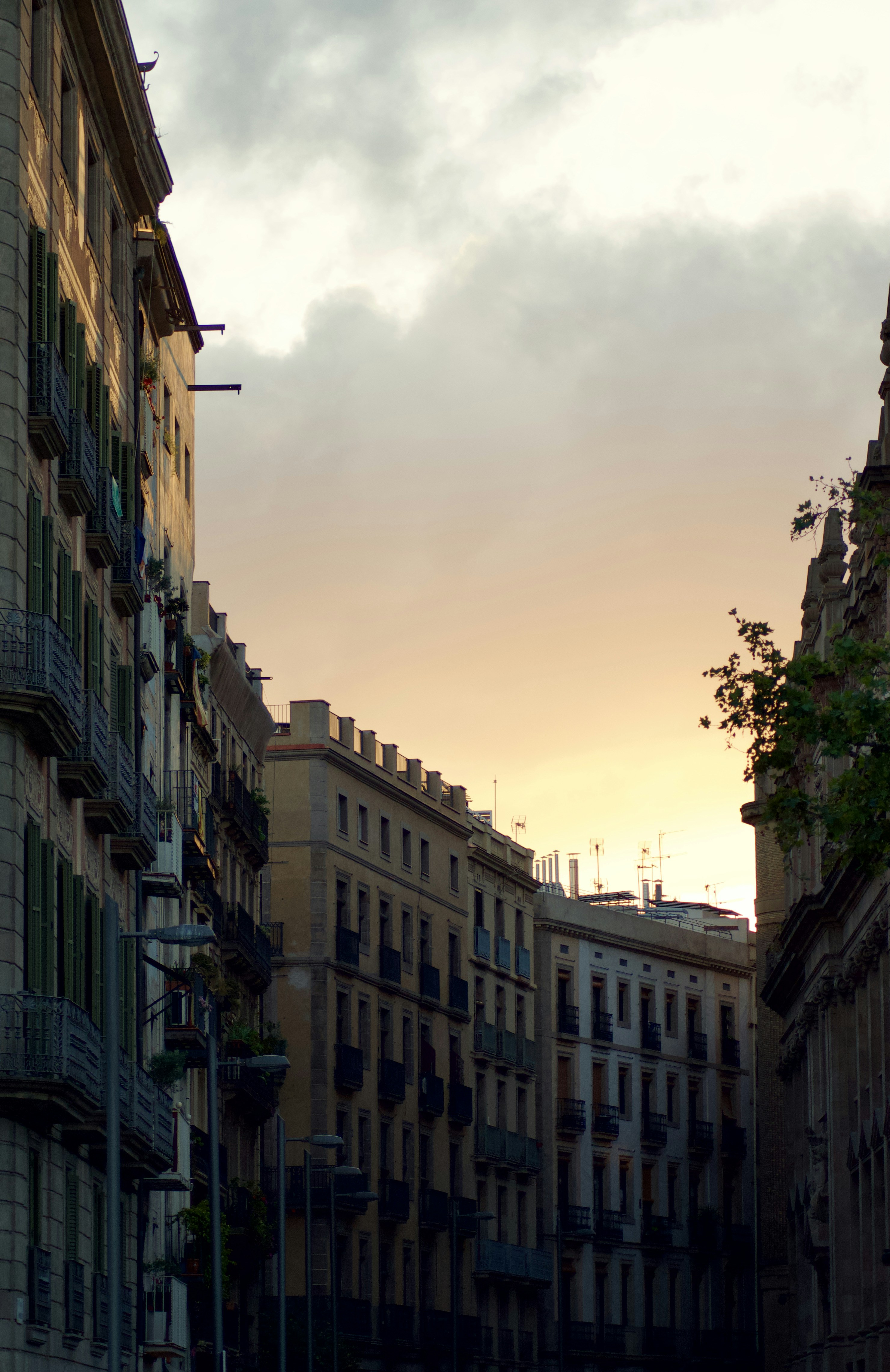 Photo by charly_vega