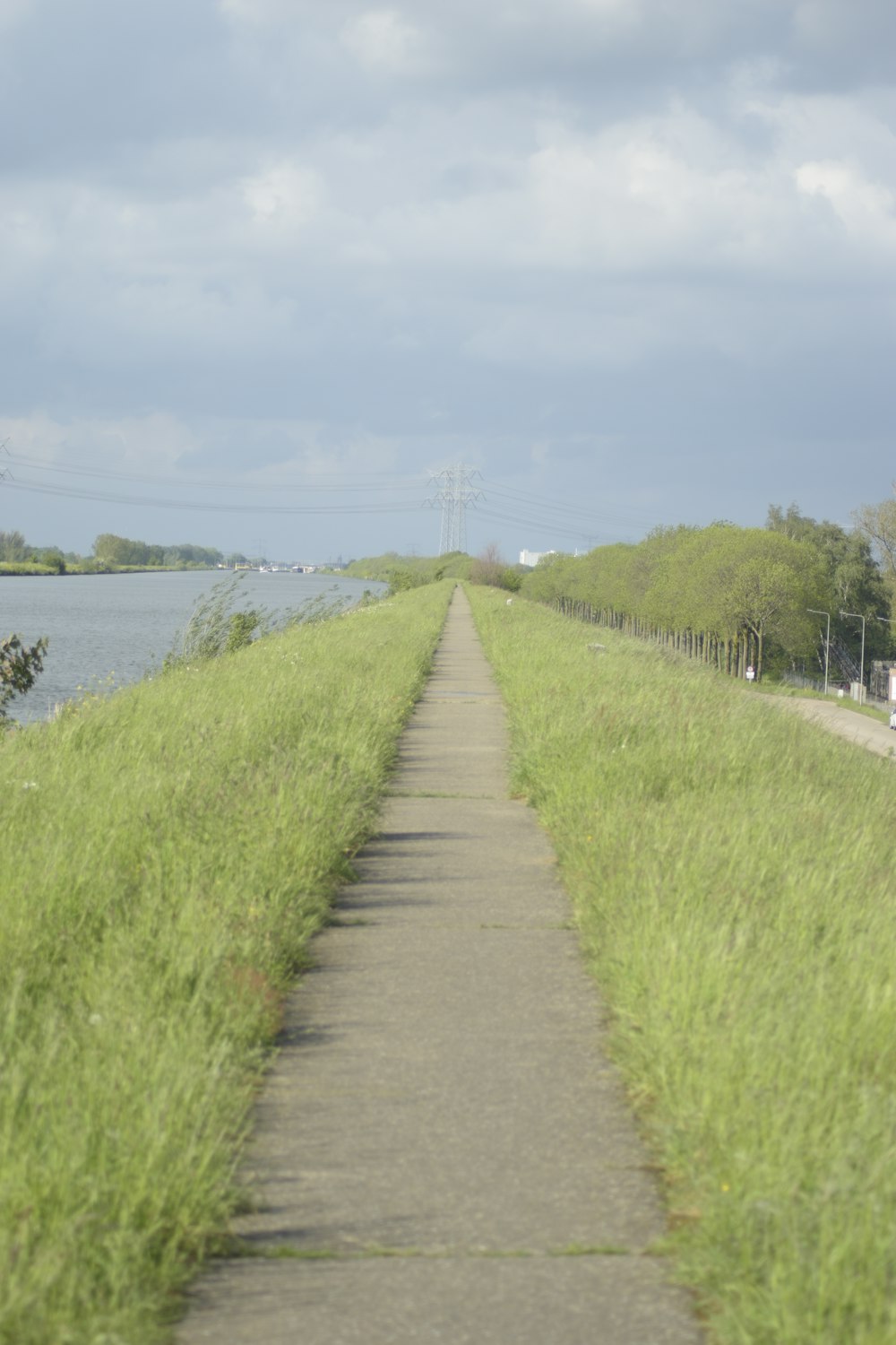 gray concrete pathway between green grass field near body of water during daytime